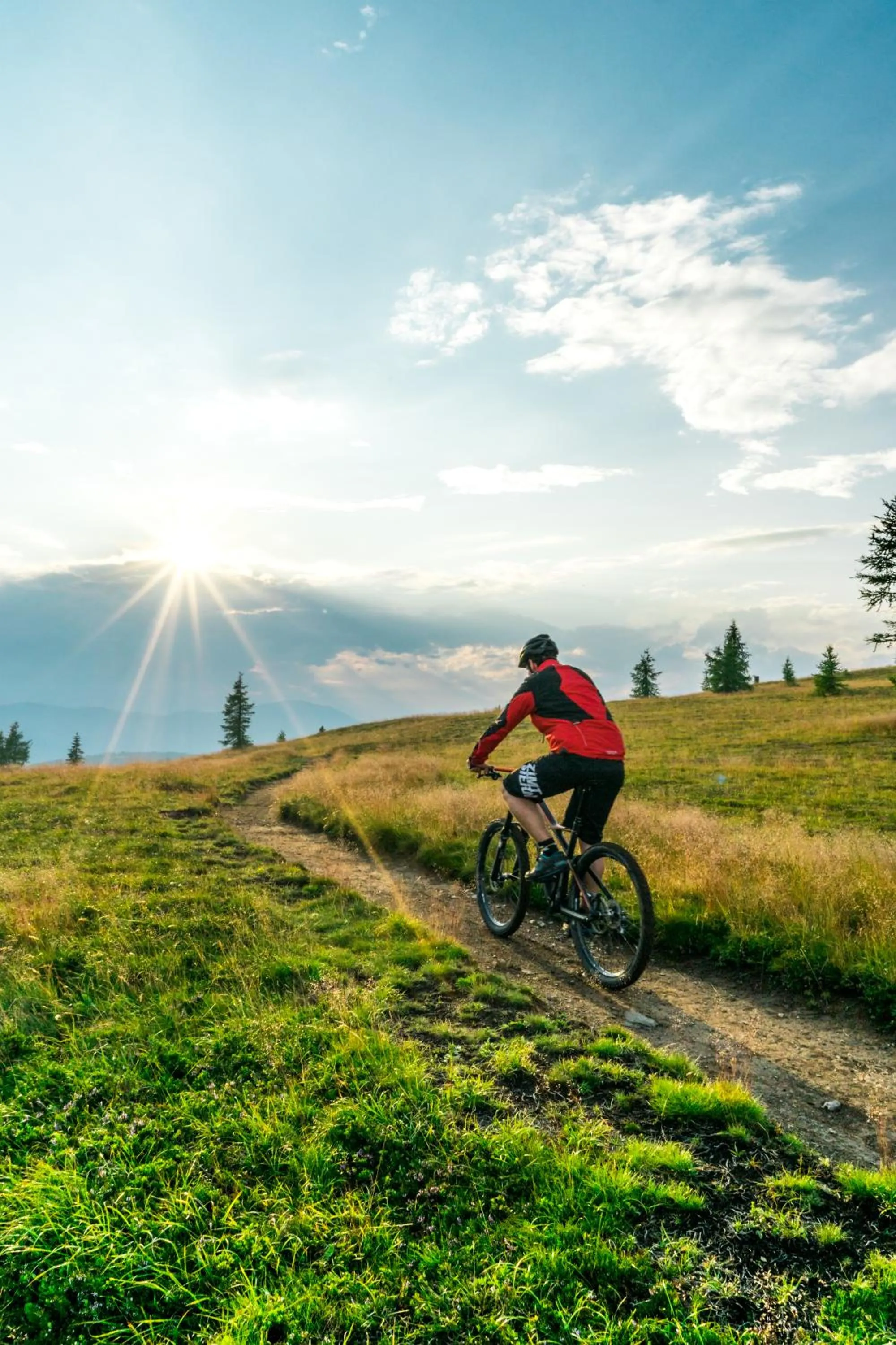 Cycling in Wellness Landhaus Parth