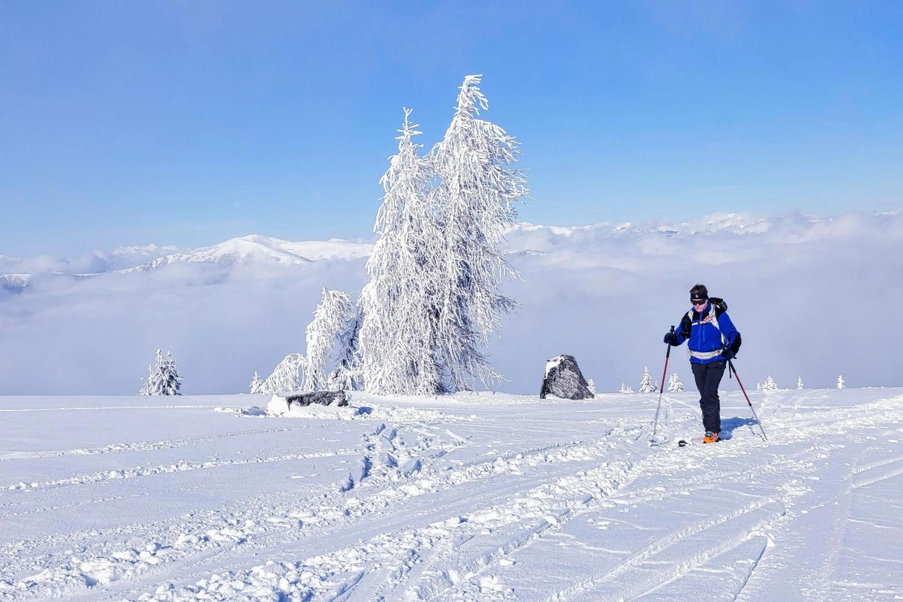 Animals in Wellness Landhaus Parth