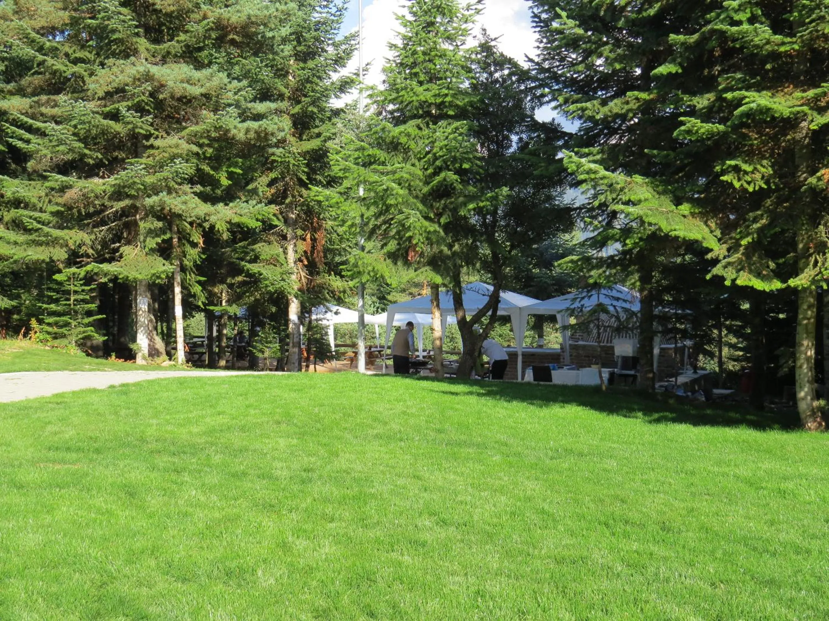 Garden in Ilgaz Mountain Resort Hotel