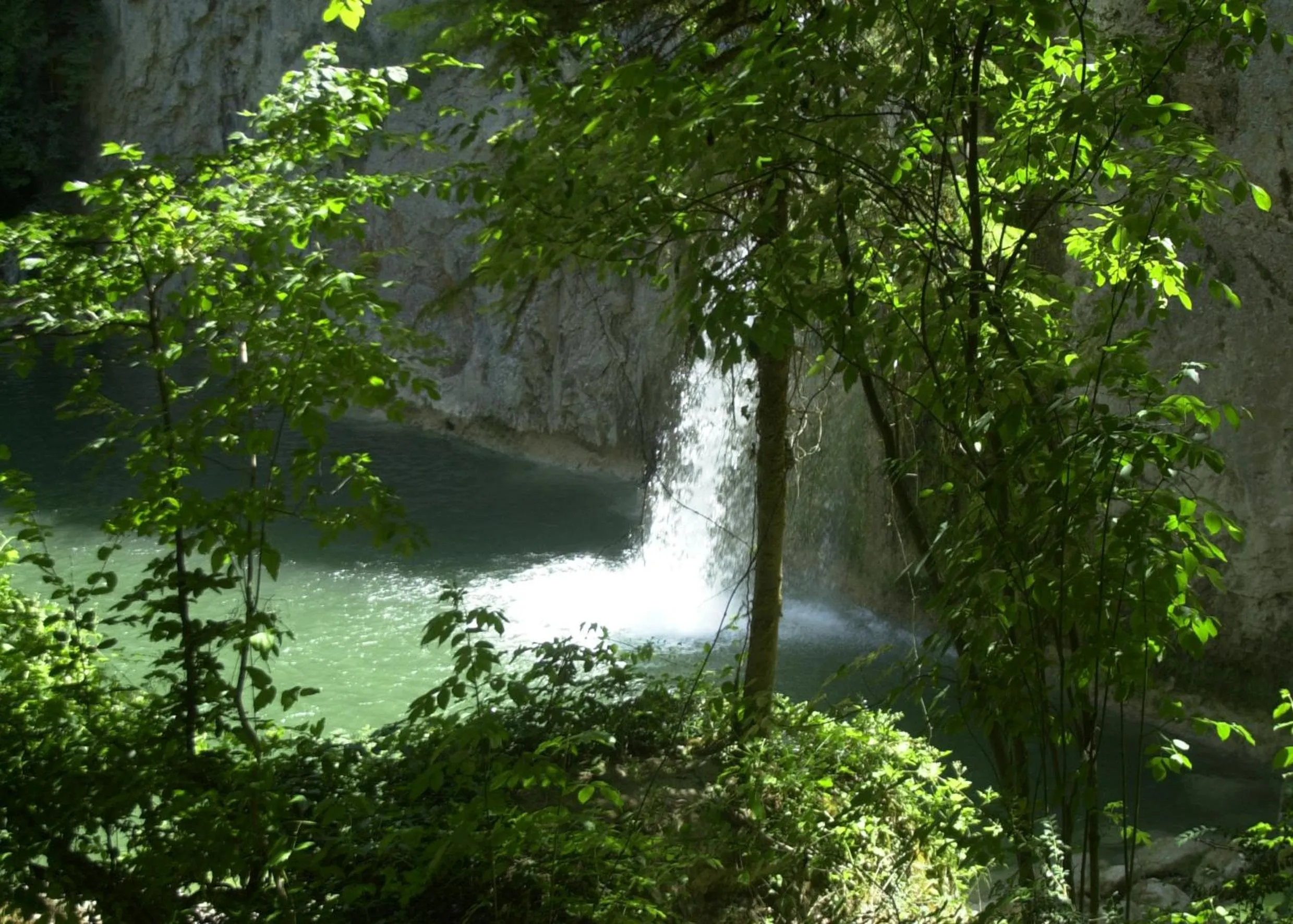 Natural landscape in Ilgaz Mountain Resort Hotel