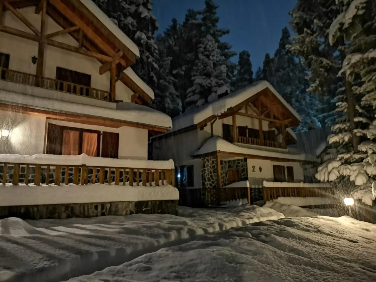 Saint George Borovets Hotel