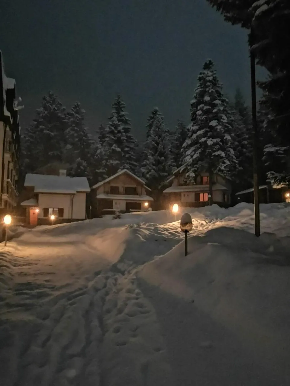 Winter in Saint George Borovets Hotel