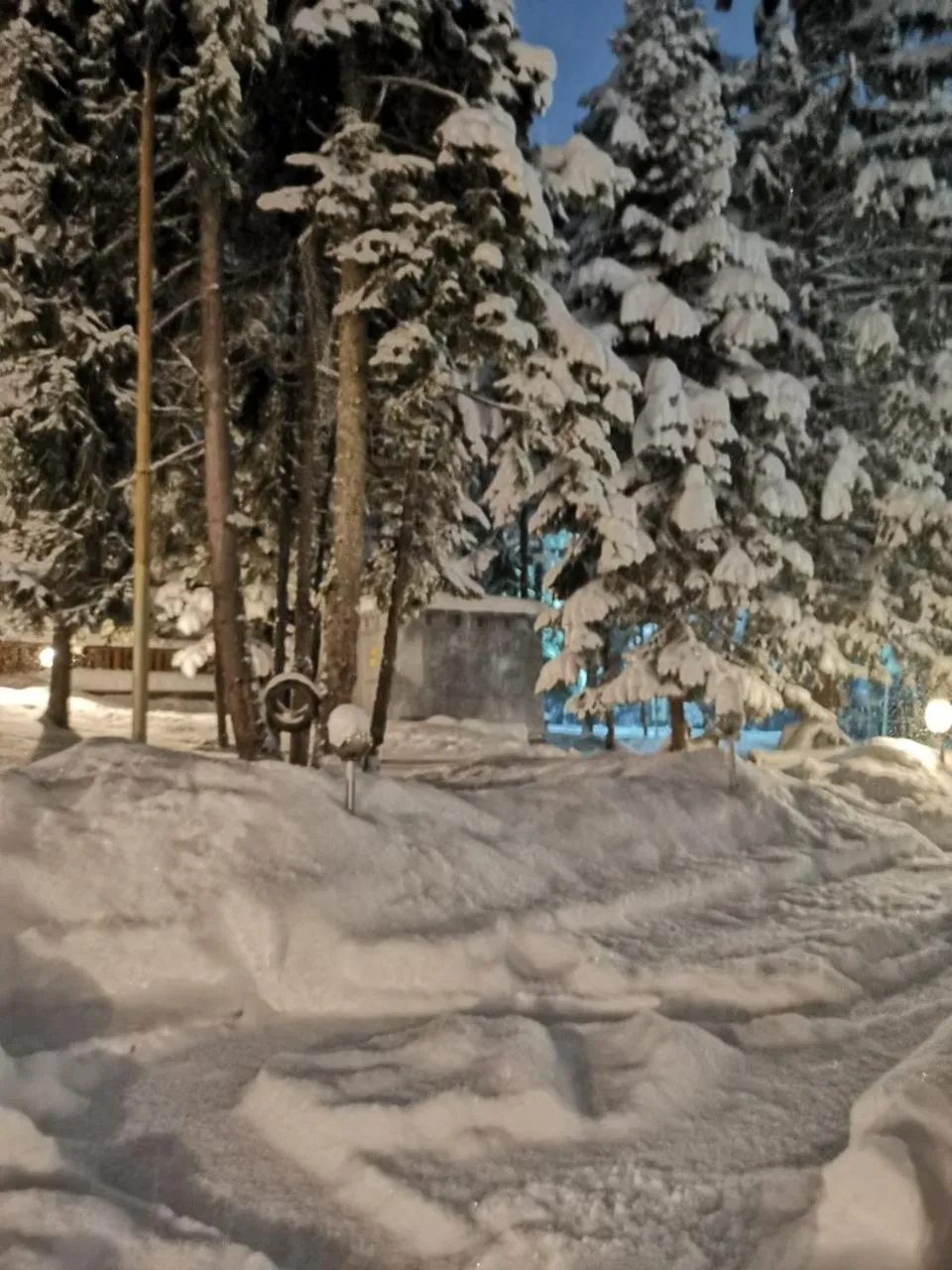 Saint George Borovets Hotel