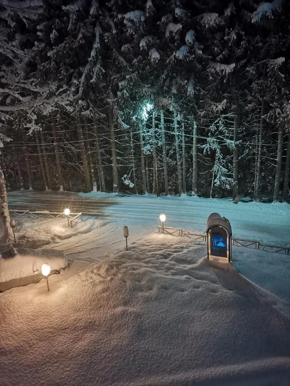 Saint George Borovets Hotel