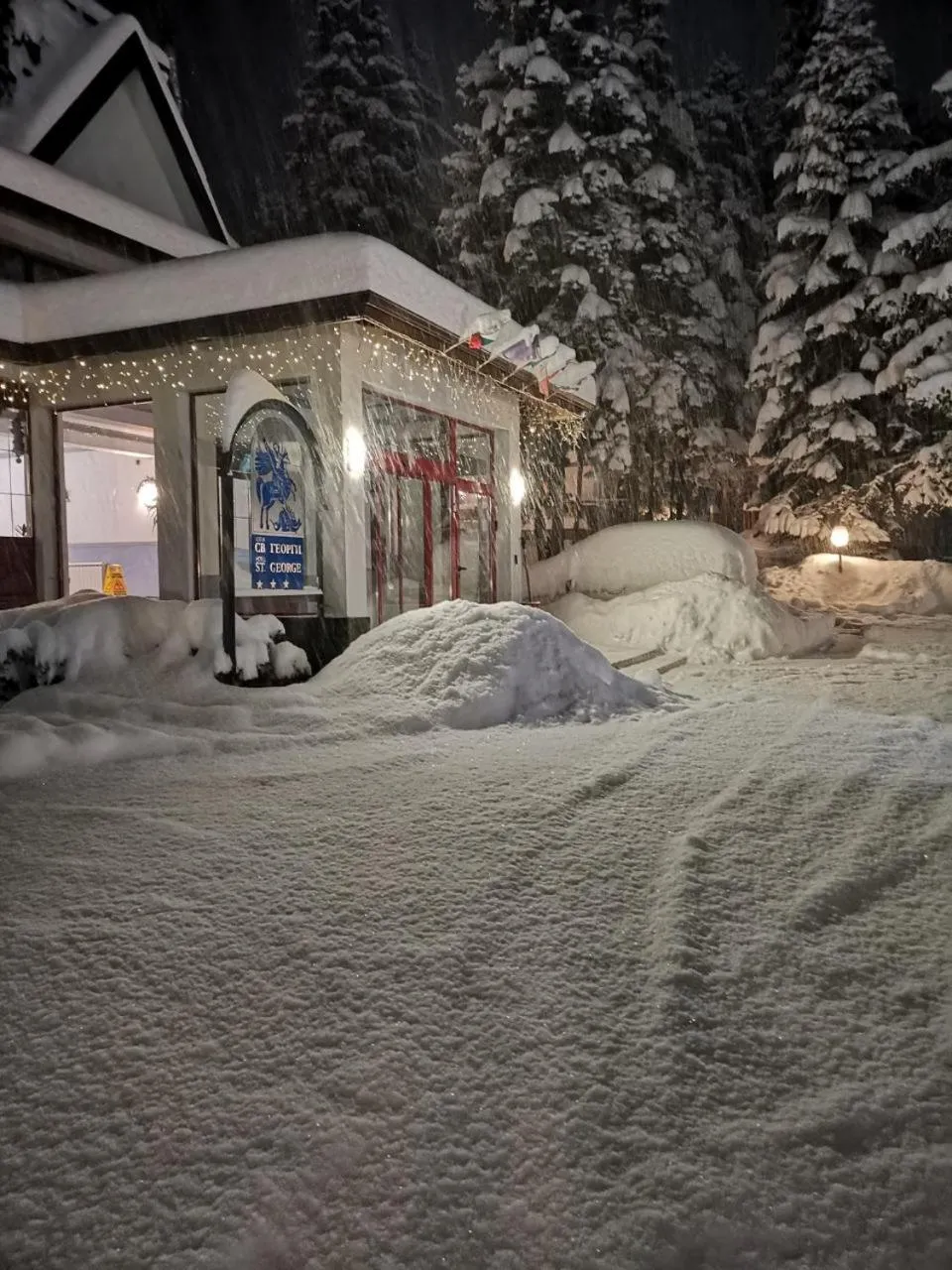 Saint George Borovets Hotel
