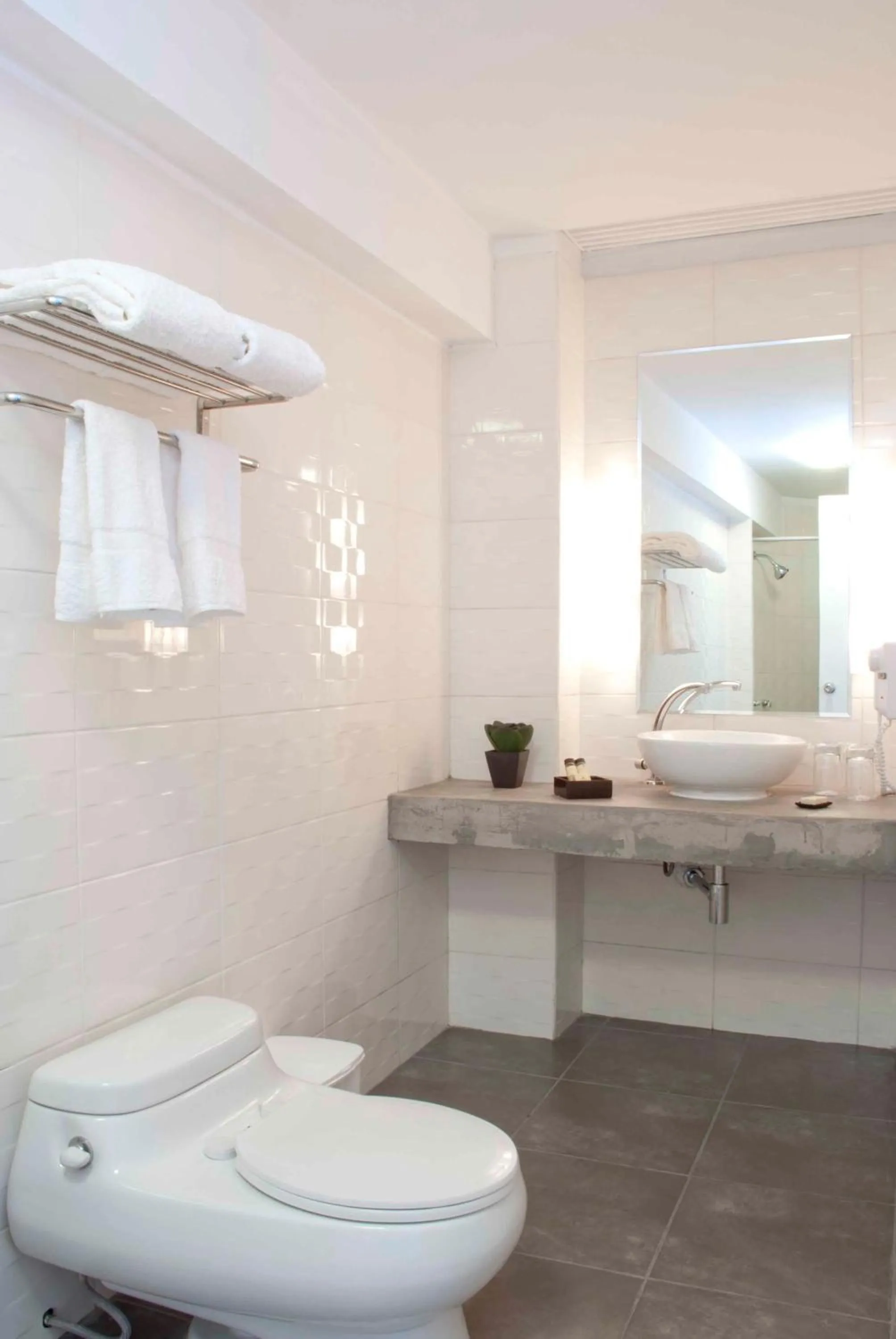 Toilet in Tierra Viva Arequipa Plaza