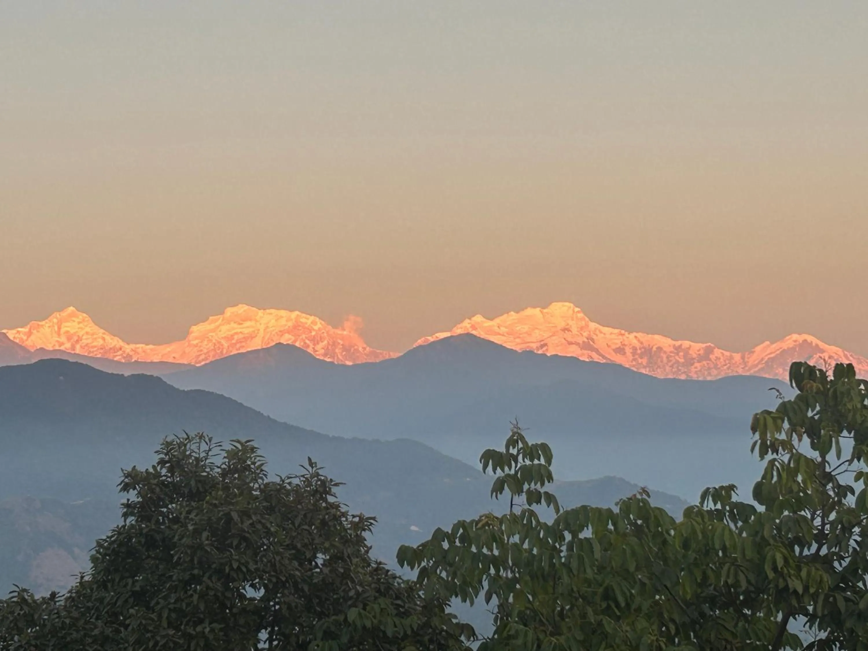 Hotel Pristine Himalaya
