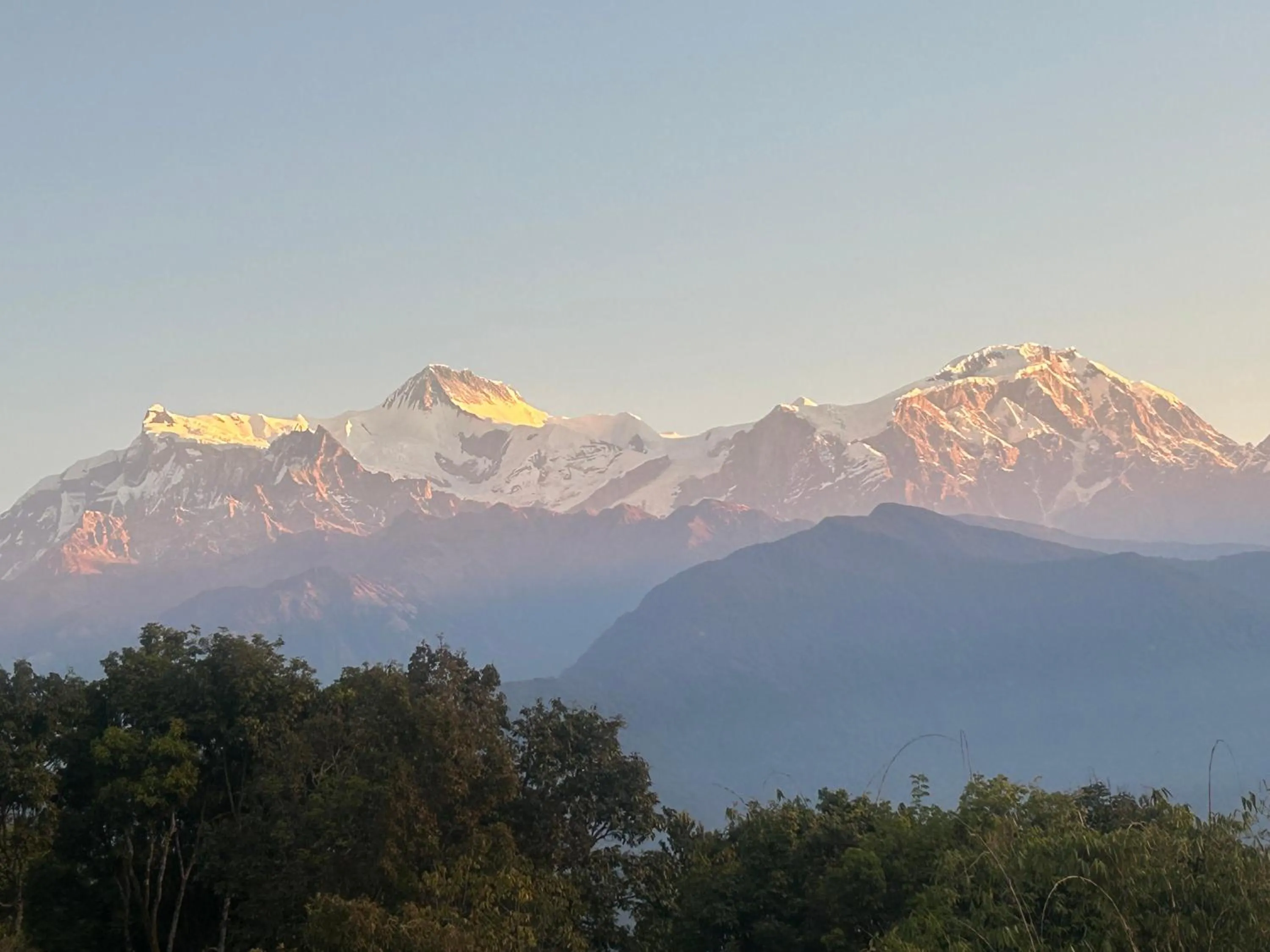 Hotel Pristine Himalaya