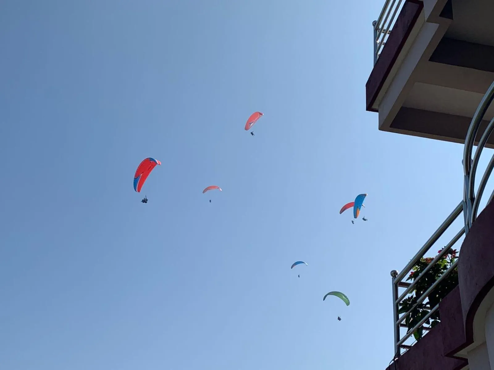 Hotel Pristine Himalaya