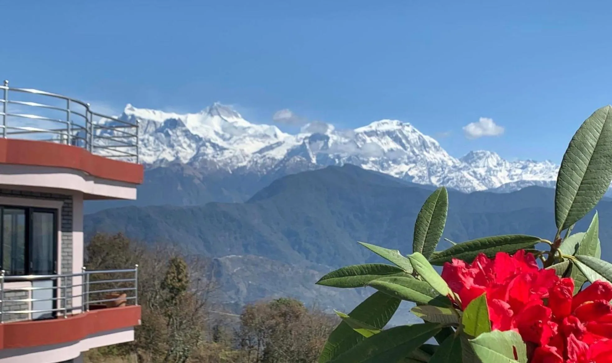Hotel Pristine Himalaya