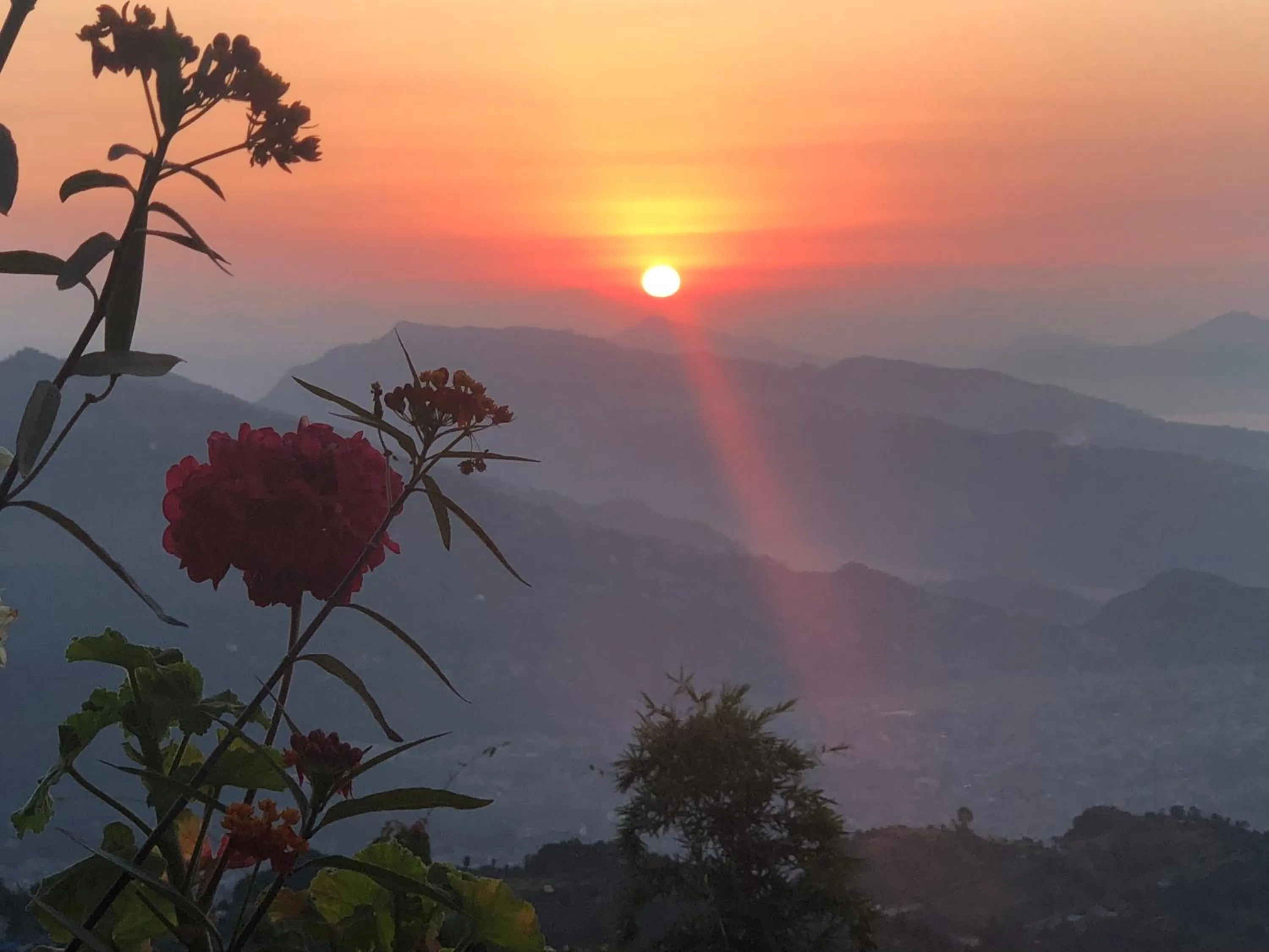 Hotel Pristine Himalaya