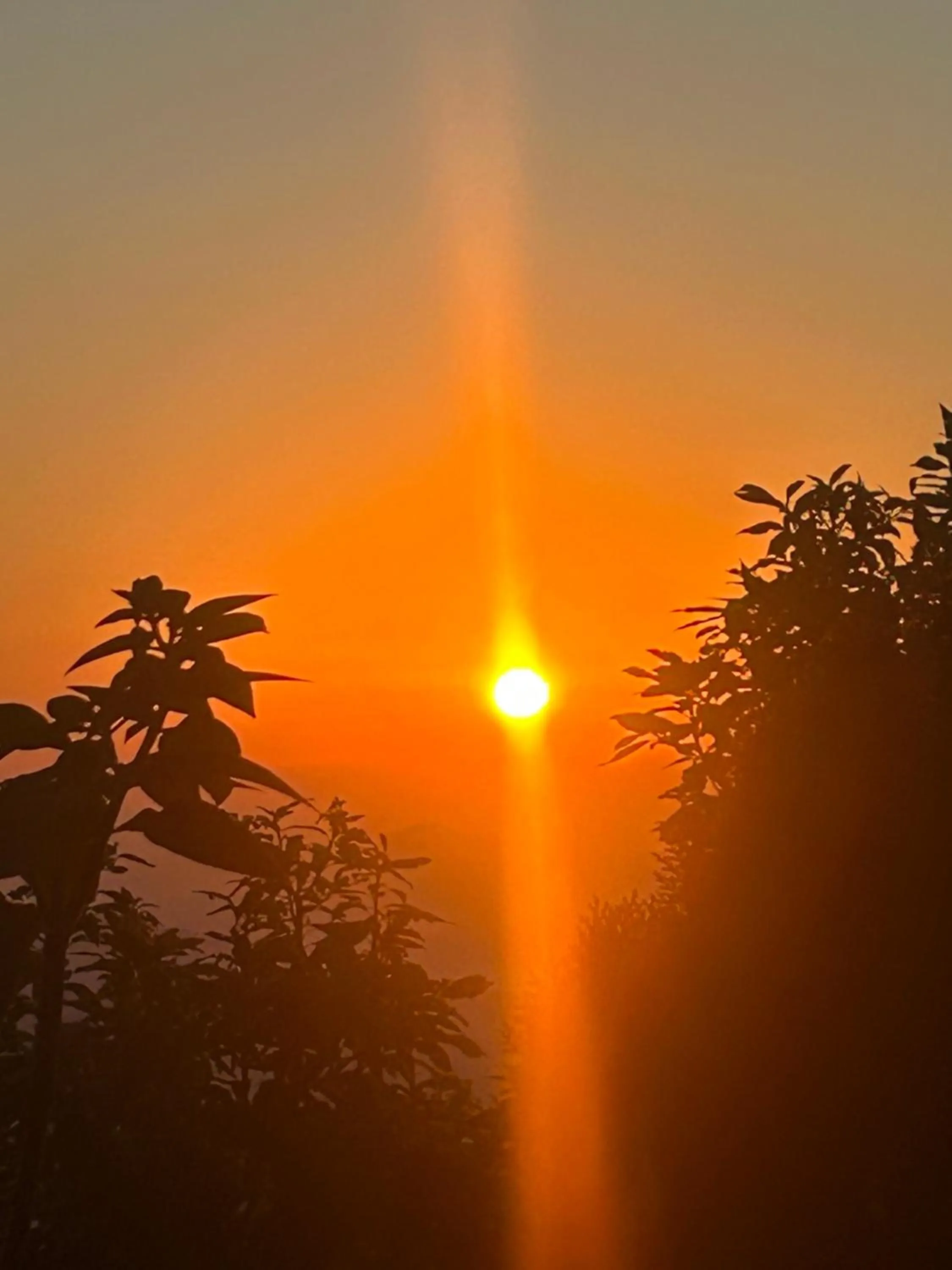 Hotel Pristine Himalaya