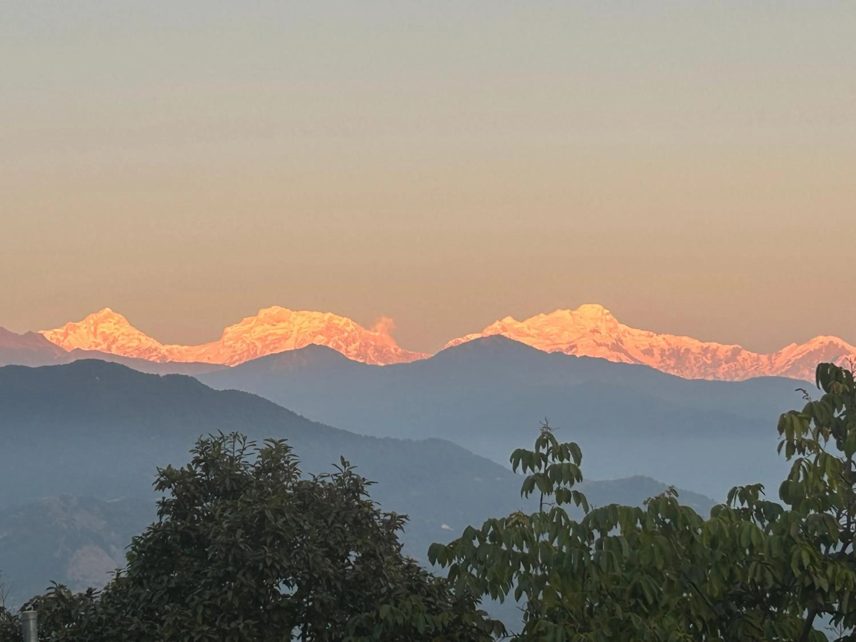 Hotel Pristine Himalaya