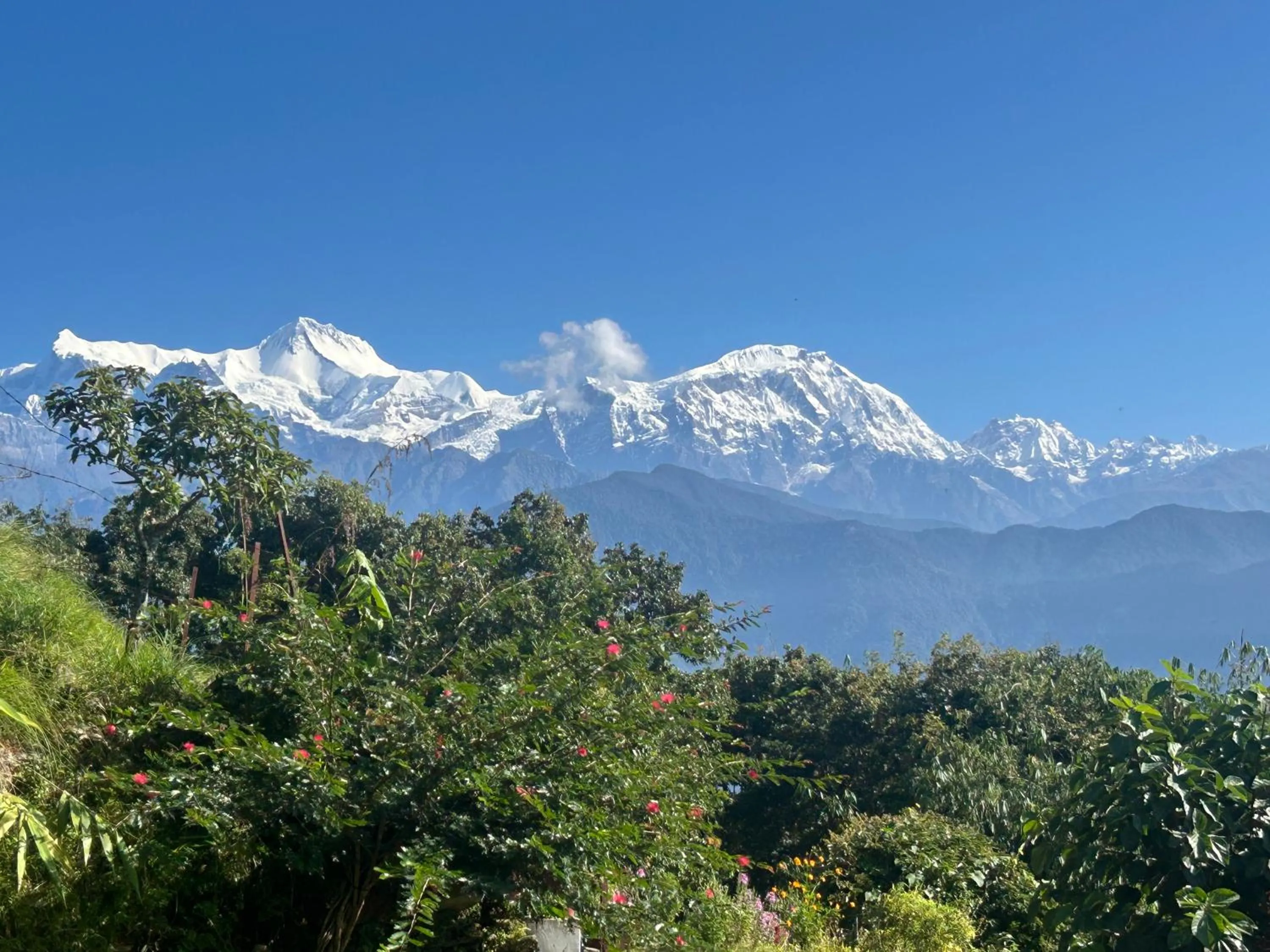 Hotel Pristine Himalaya