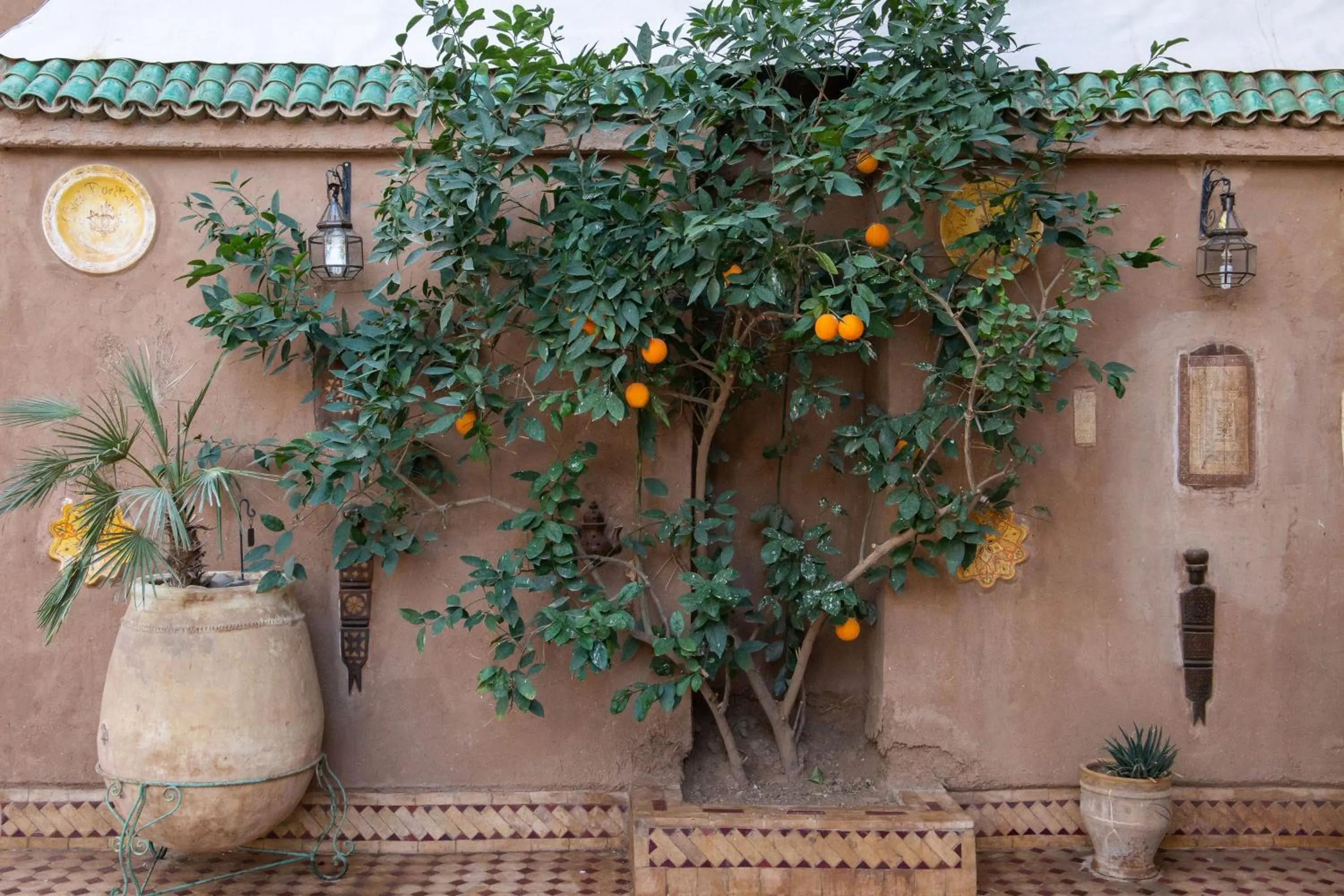 Garden in Riad Dar Sofian