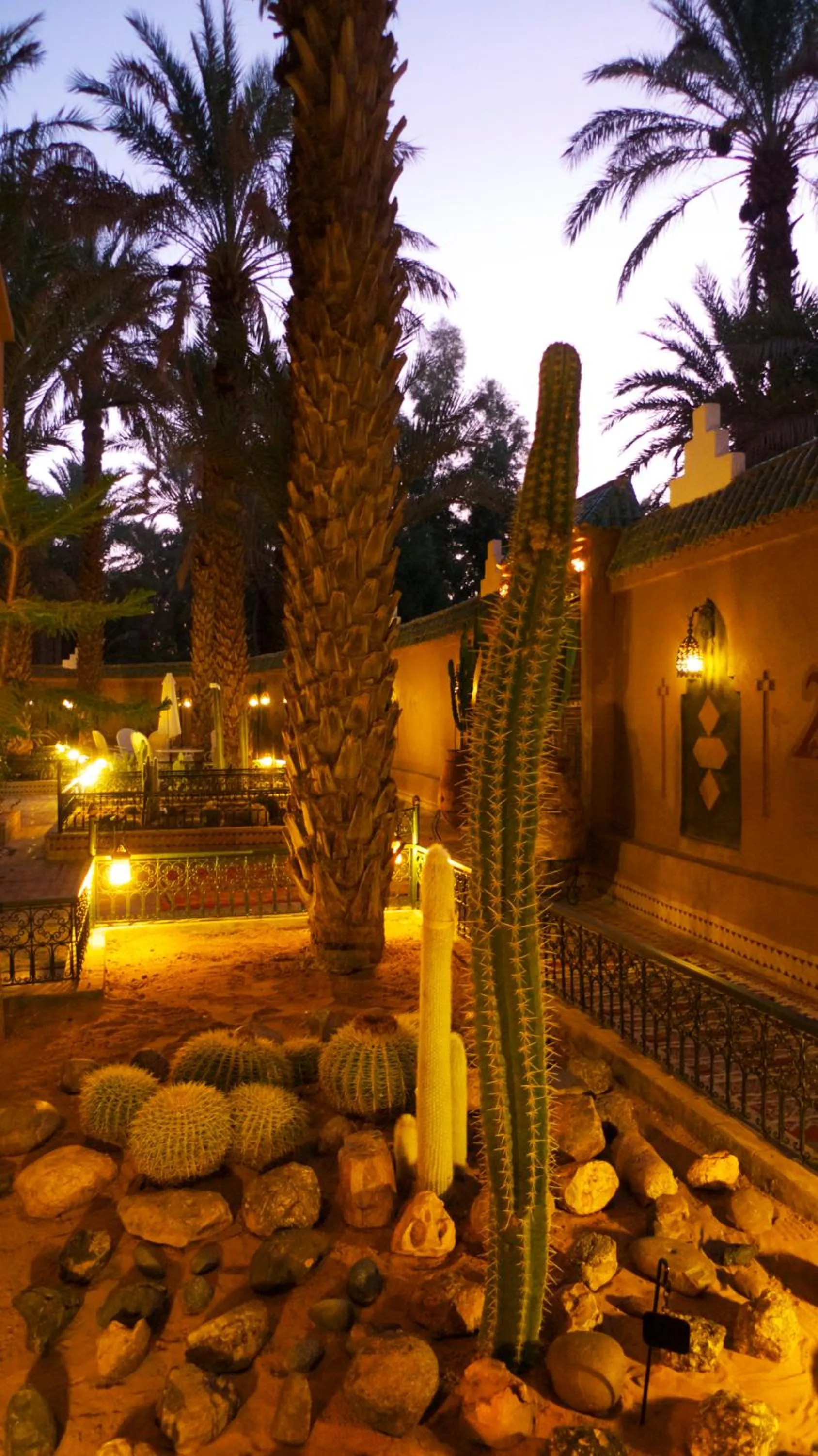 Garden in Riad Dar Sofian