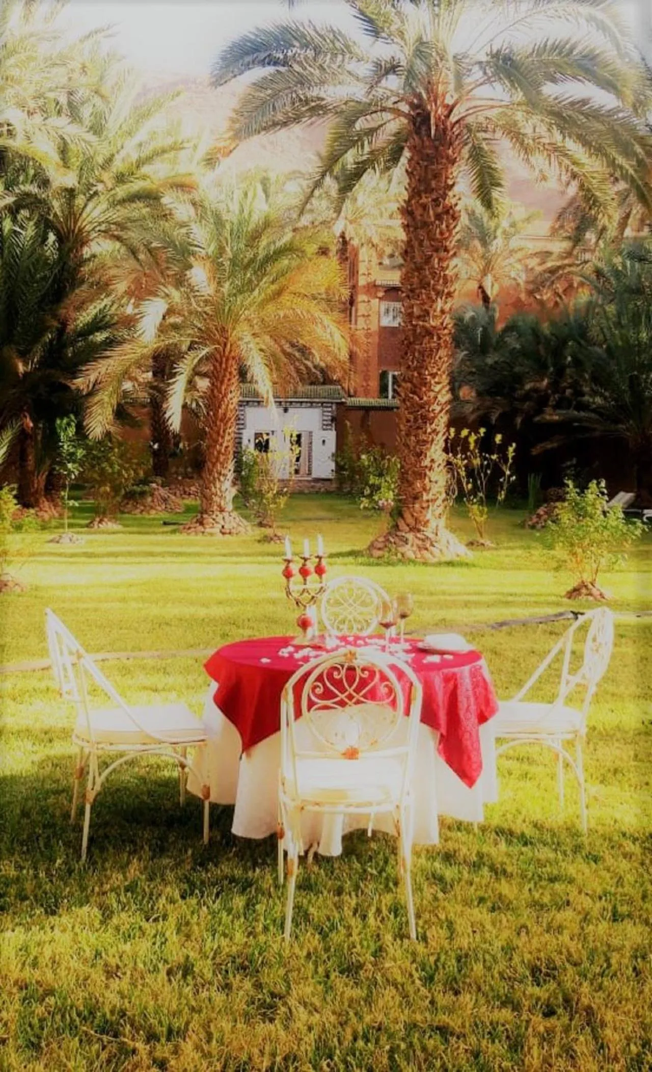Patio in Riad Dar Sofian