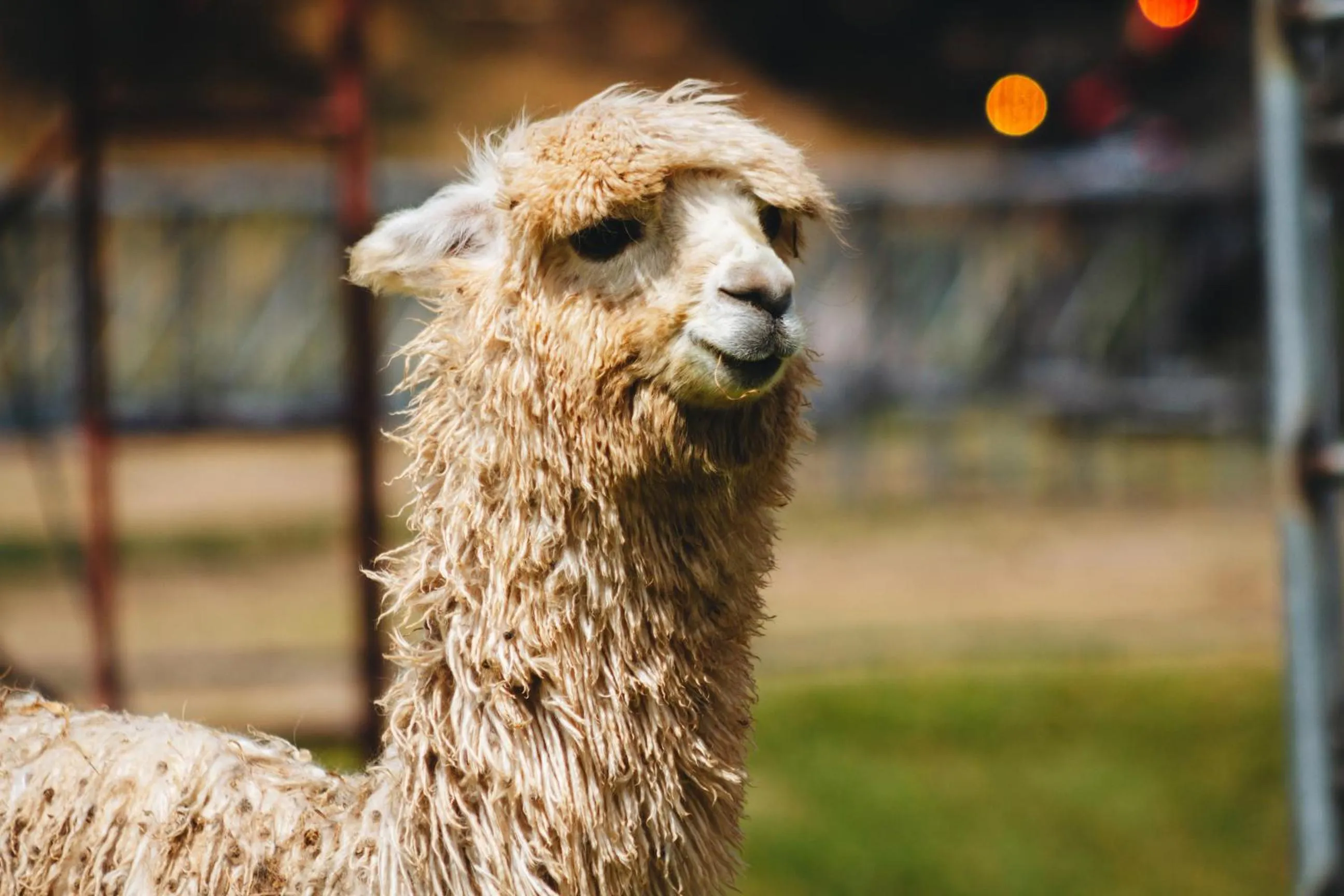 Day in Hacienda del Valle Sagrado