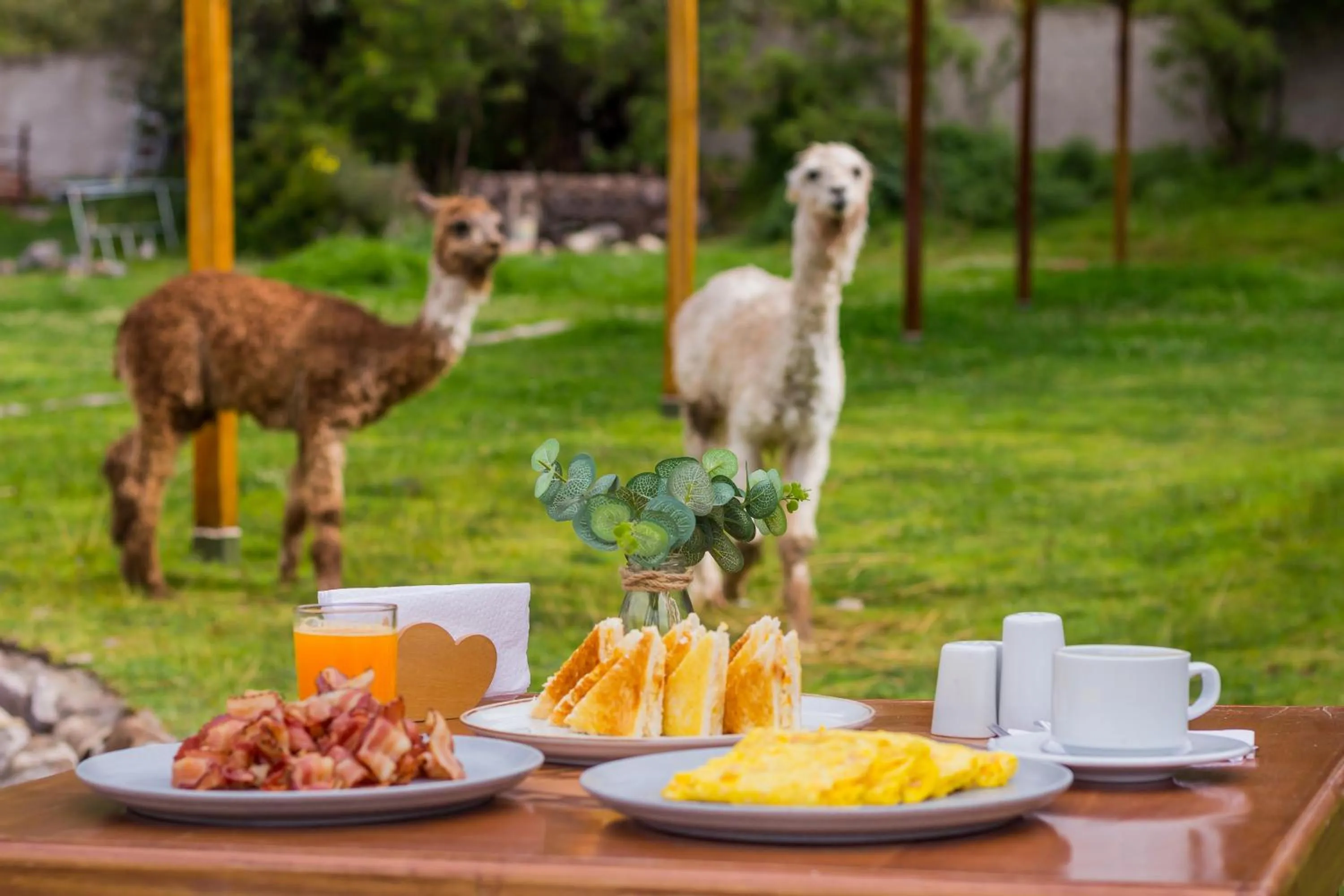Garden in Hacienda del Valle Sagrado