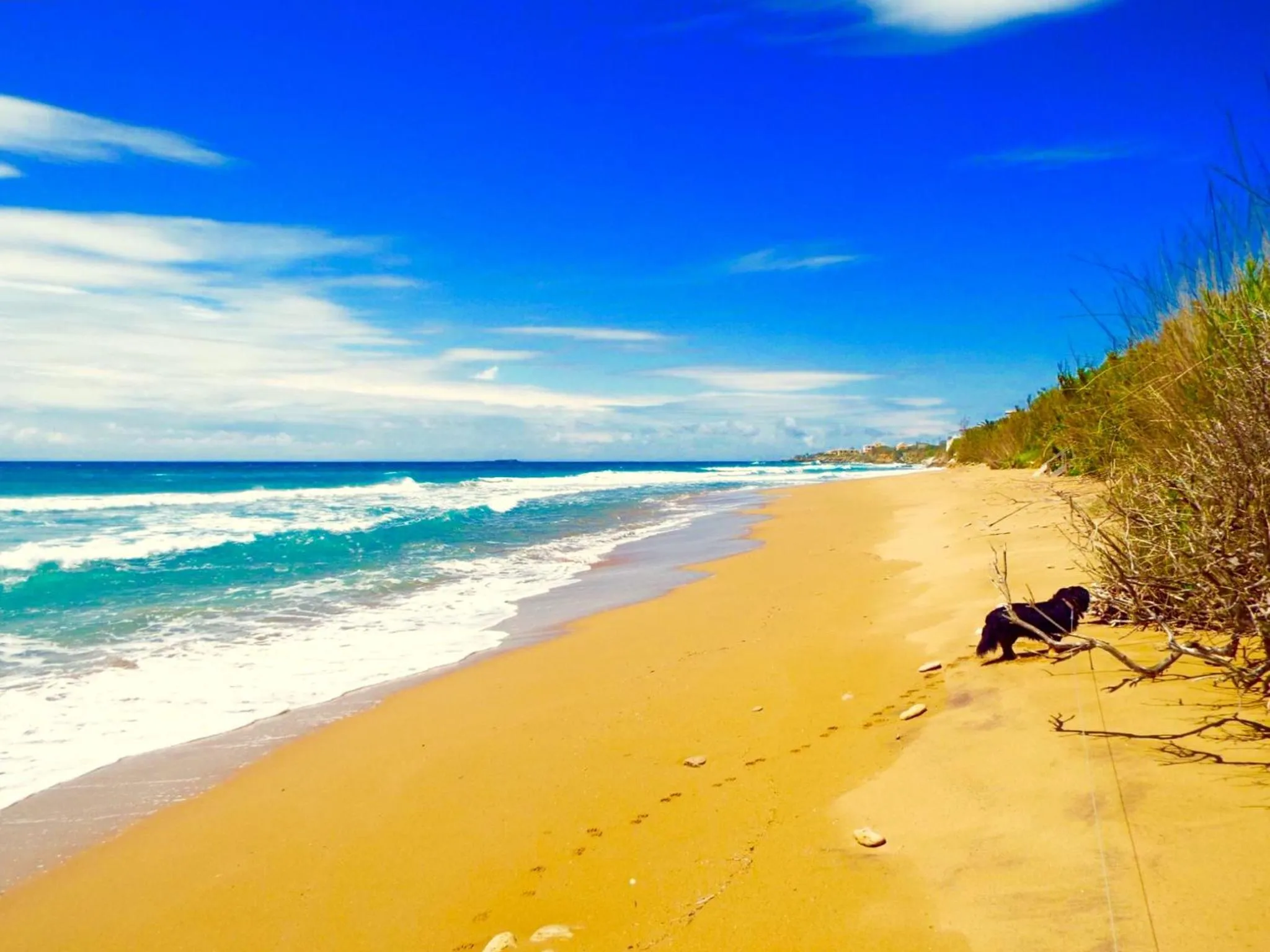 Beach in IONIAN SUITES by Bruskos