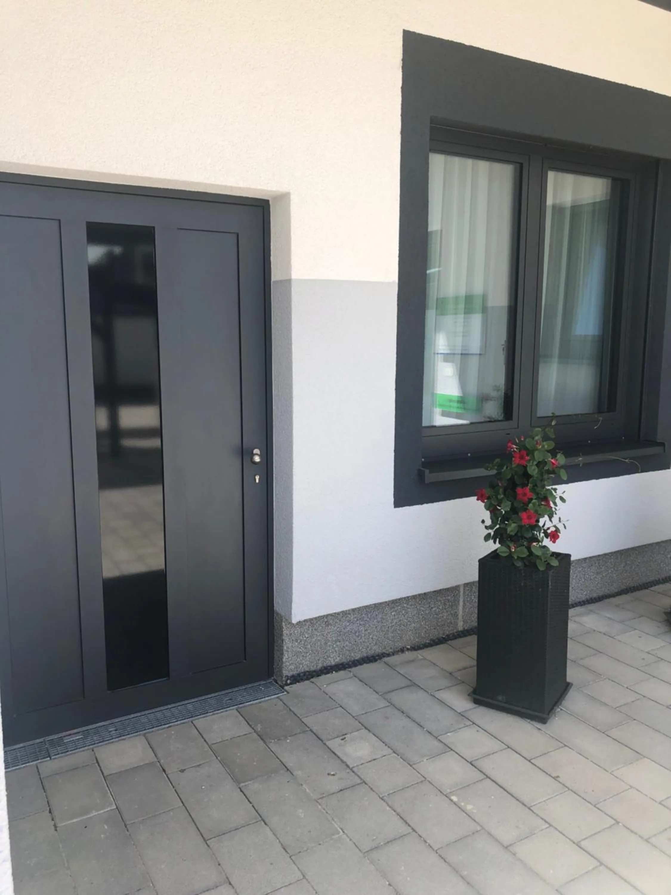 Area and facilities in Hotel Lumi