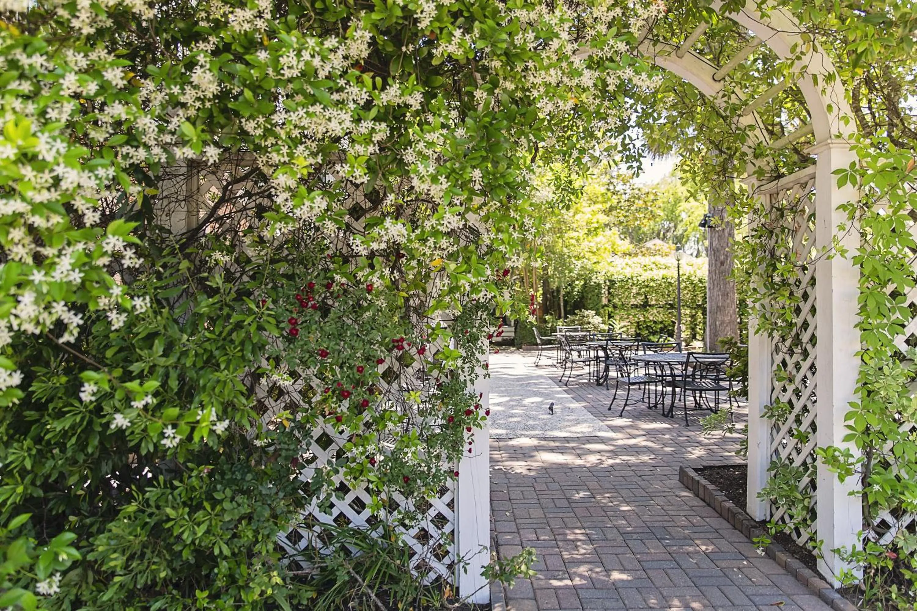 Garden in The Beaufort Inn