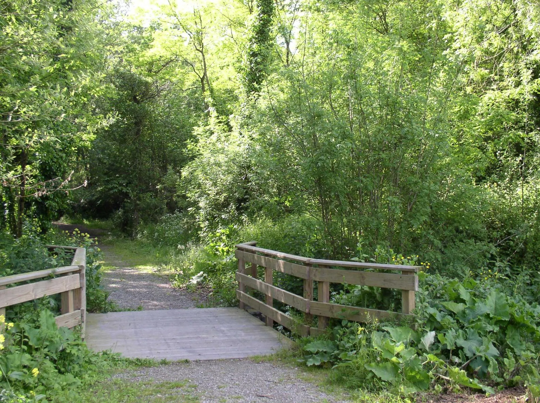 Natural landscape in Boizen