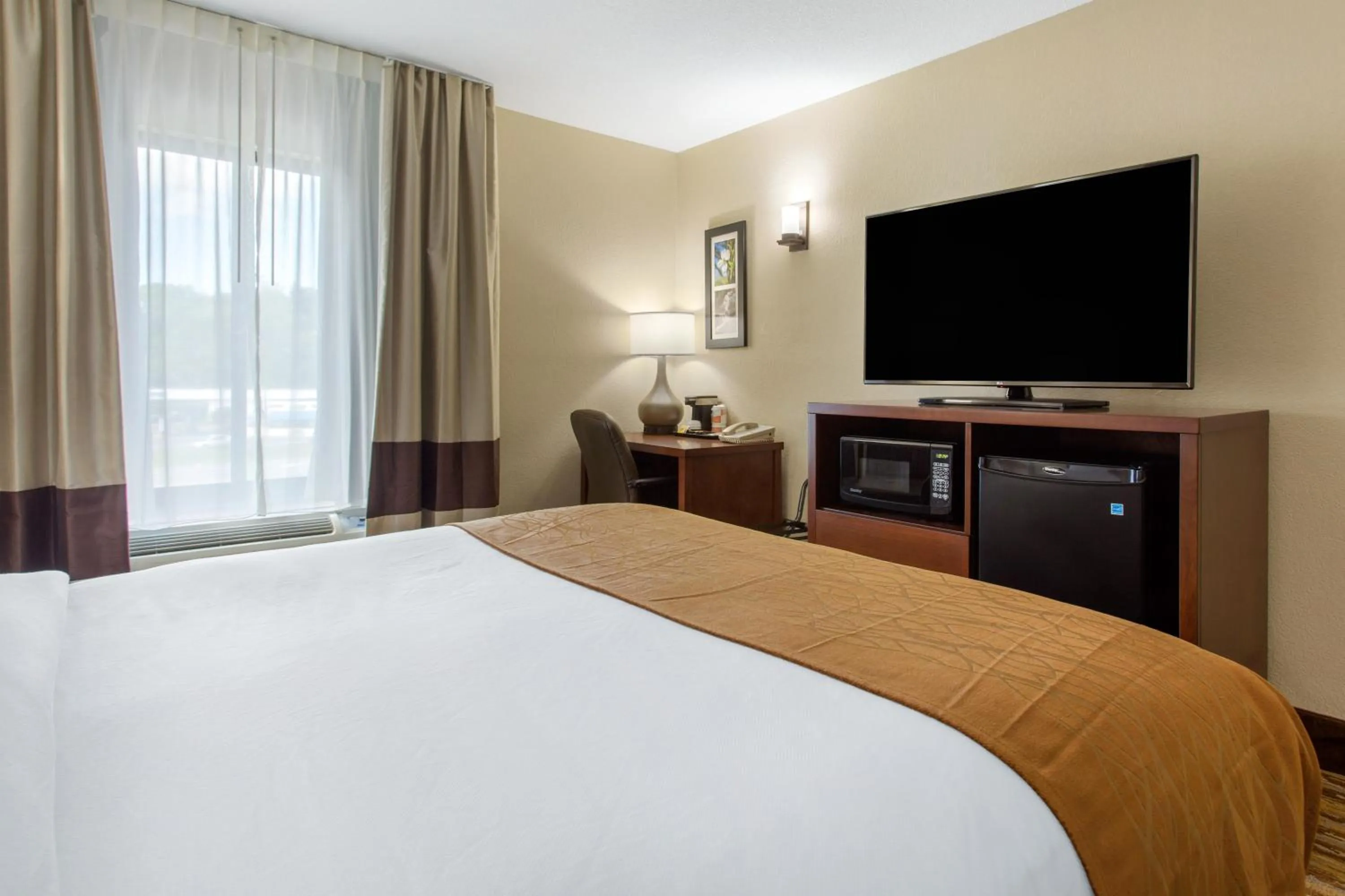 TV and multimedia, Bed in Comfort Inn Asheville East-Blue Ridge Pkwy Access