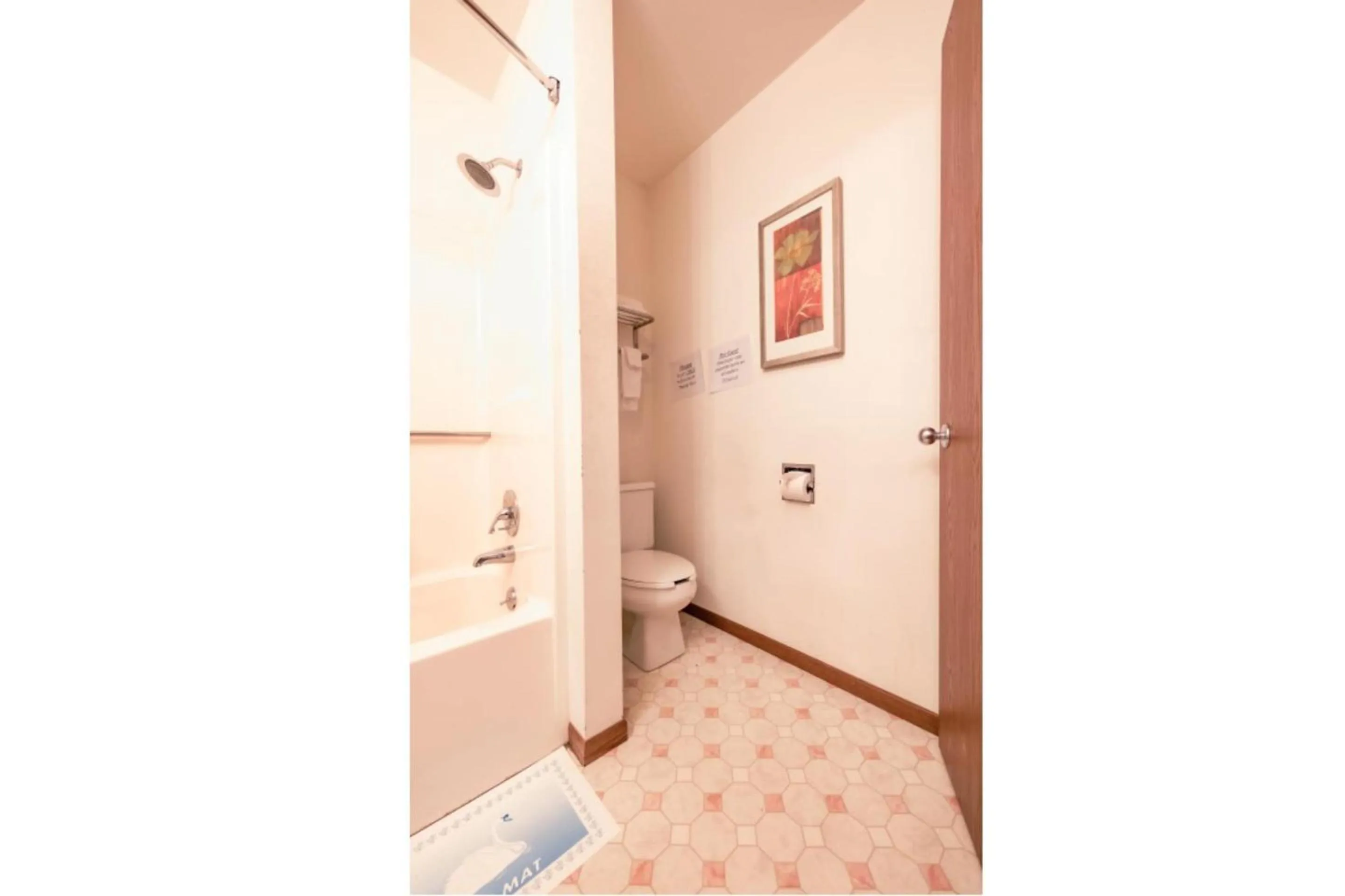 Bathroom in Harlan Inn and Suites By OYO Harlan