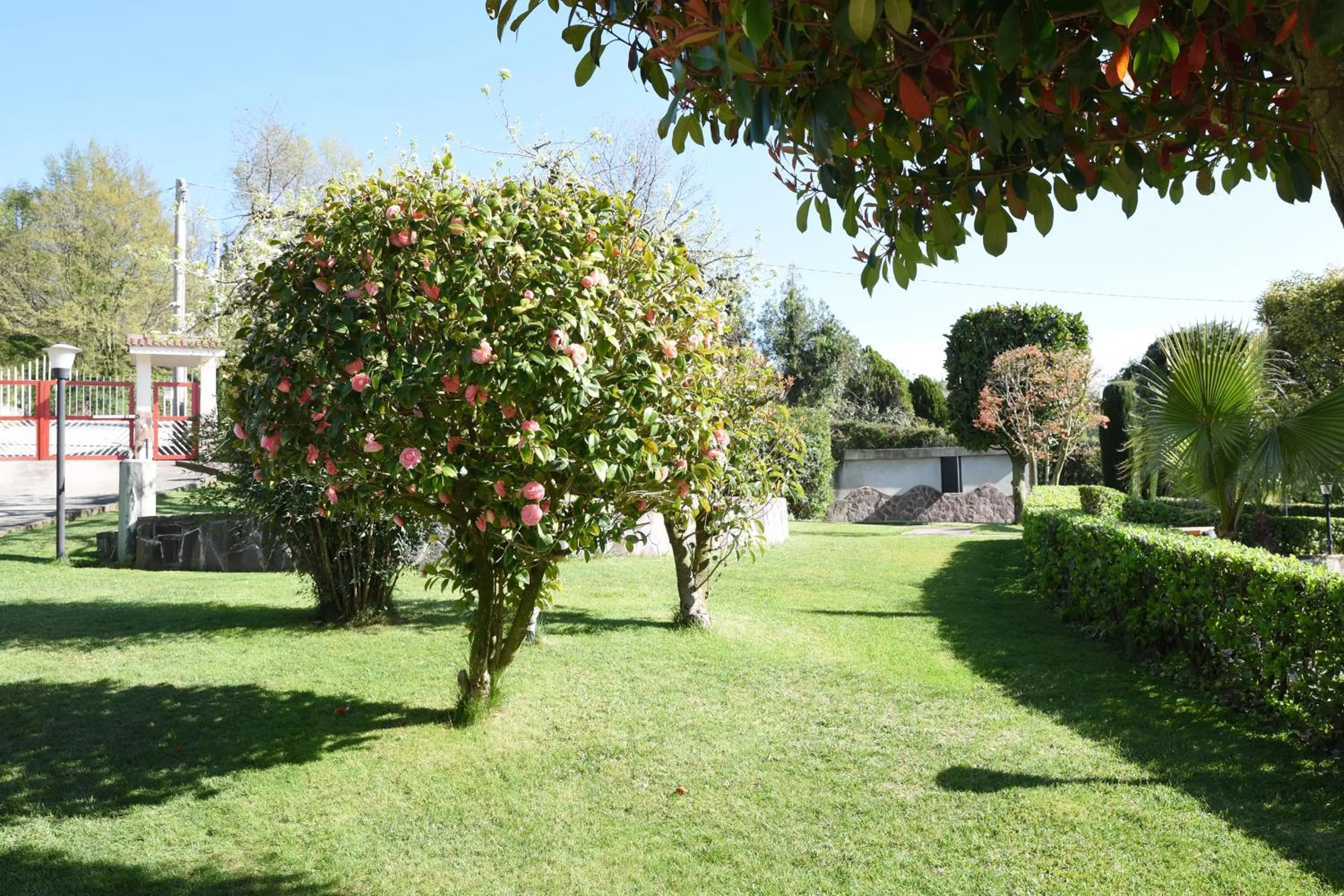 Garden view in B&B sentiero romantico