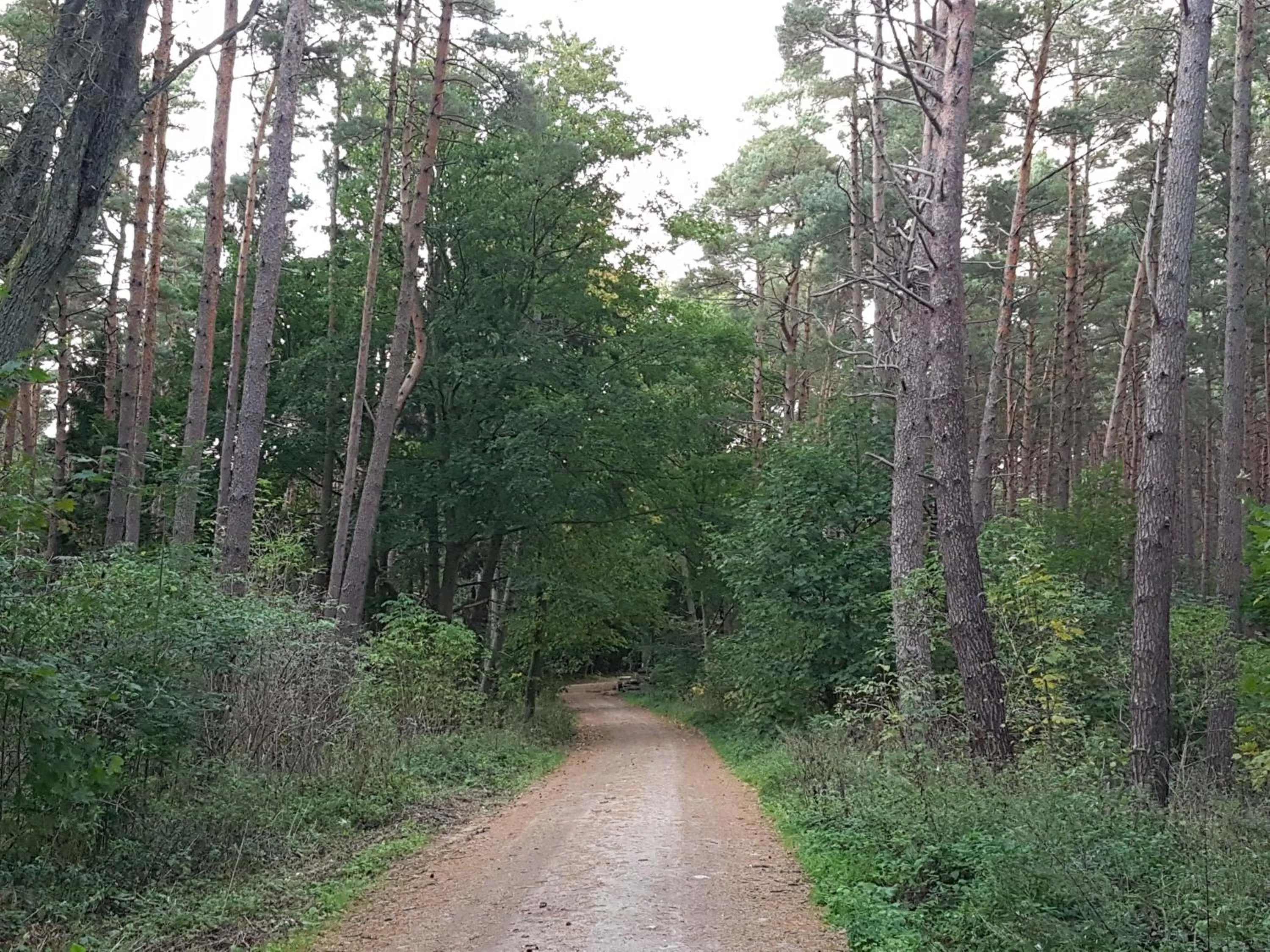 Arcada