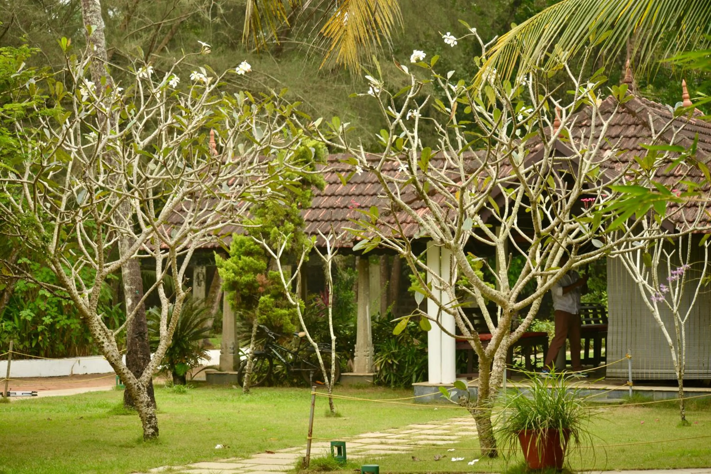 Seclude Kerala, Marari Sands