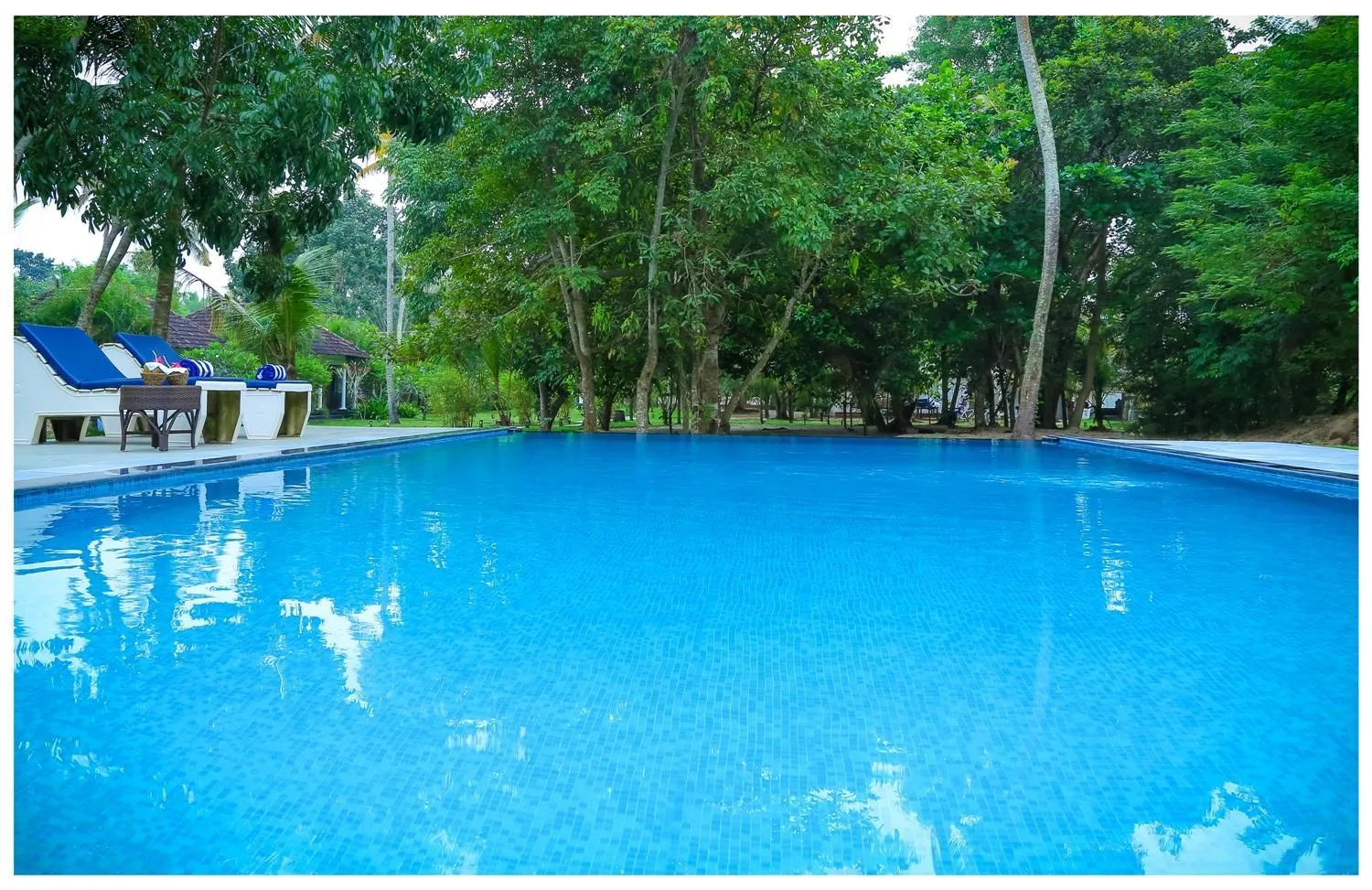 Pool view in Seclude Kerala, Marari Sands