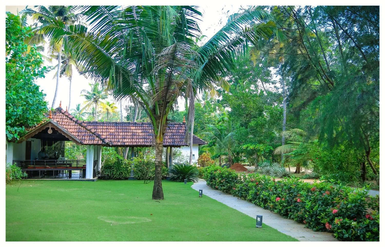 Garden in Seclude Kerala, Marari Sands