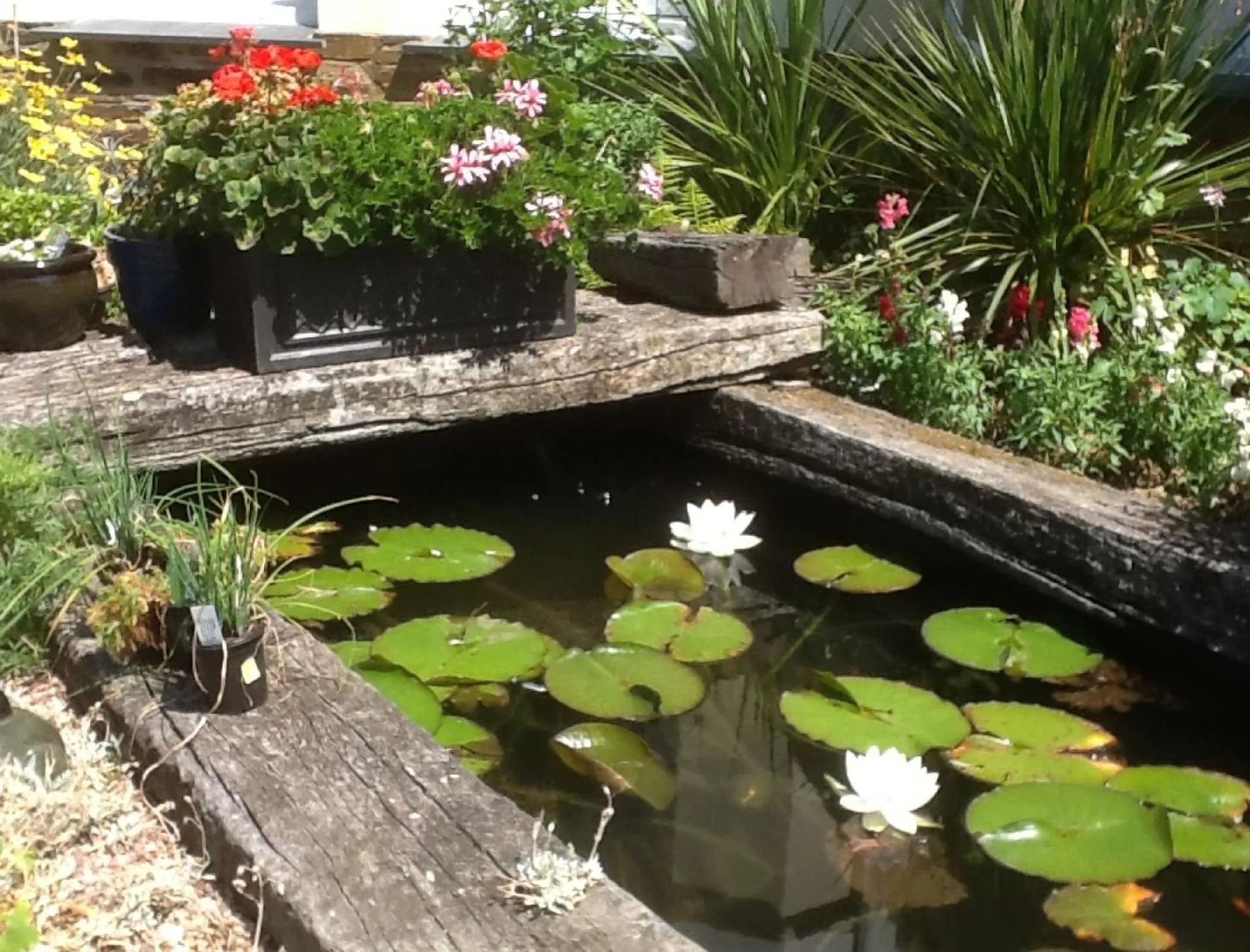 Garden in Rose in Vale Country House Hotel