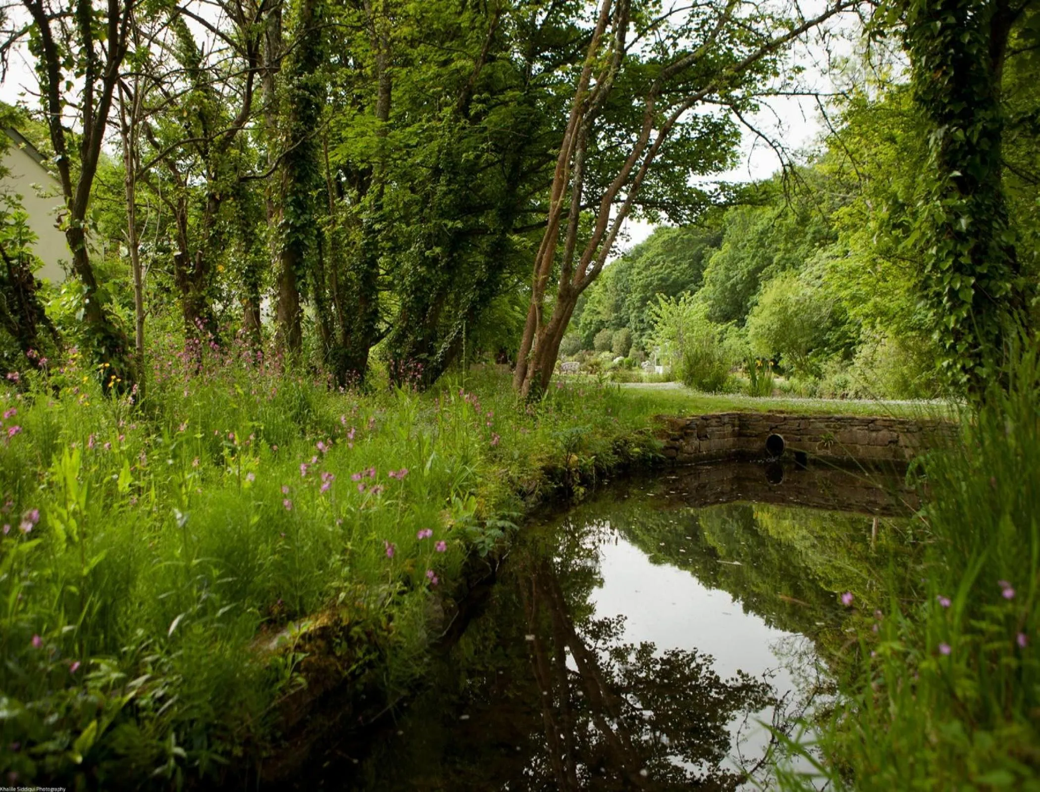 Garden in Rose in Vale Country House Hotel