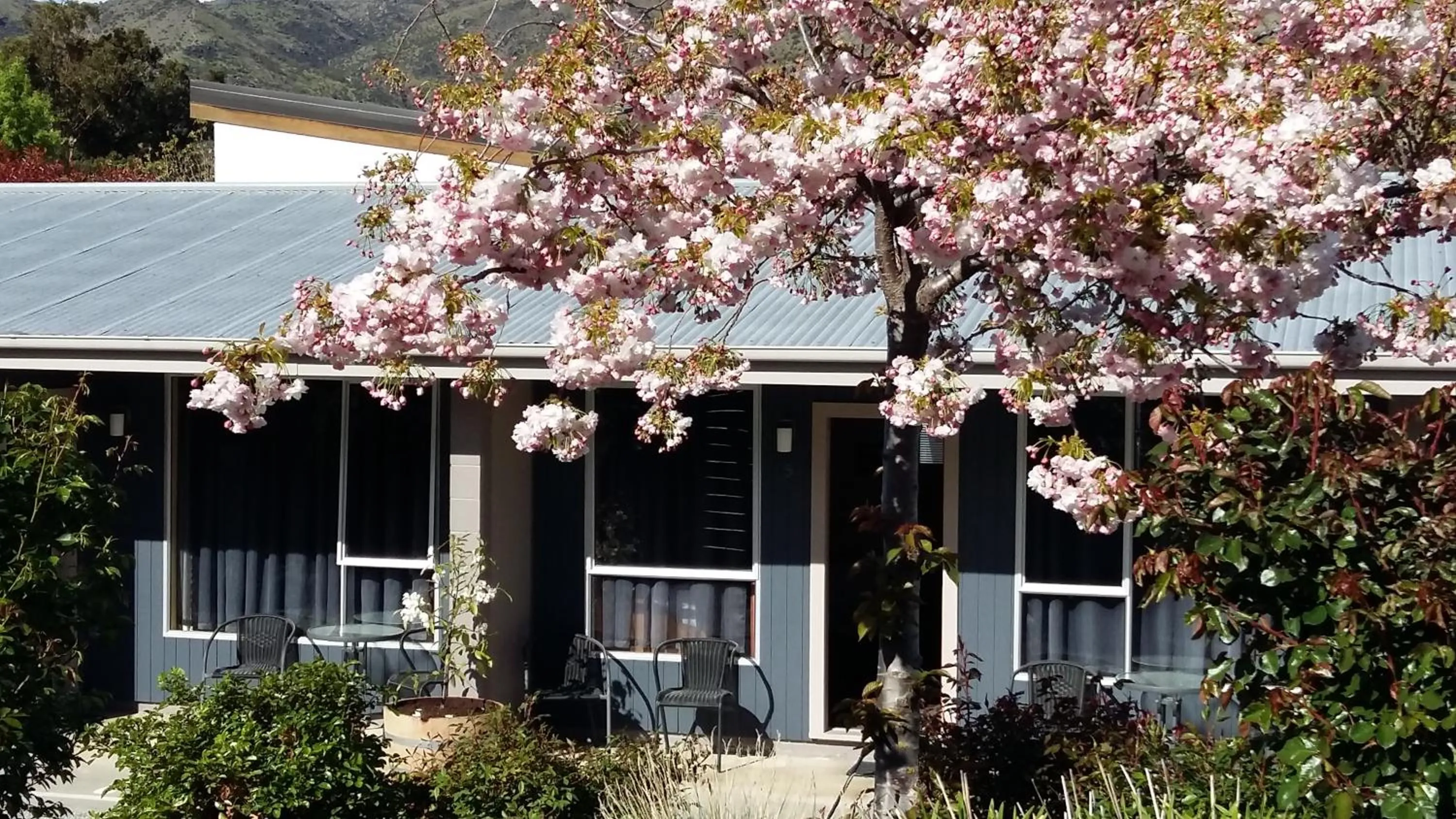 Garden view in Central Gateway Motel