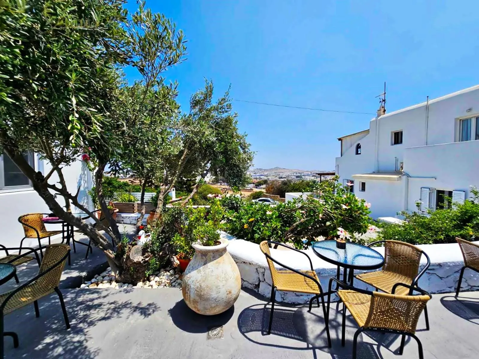 Garden in Mykonian Breeze