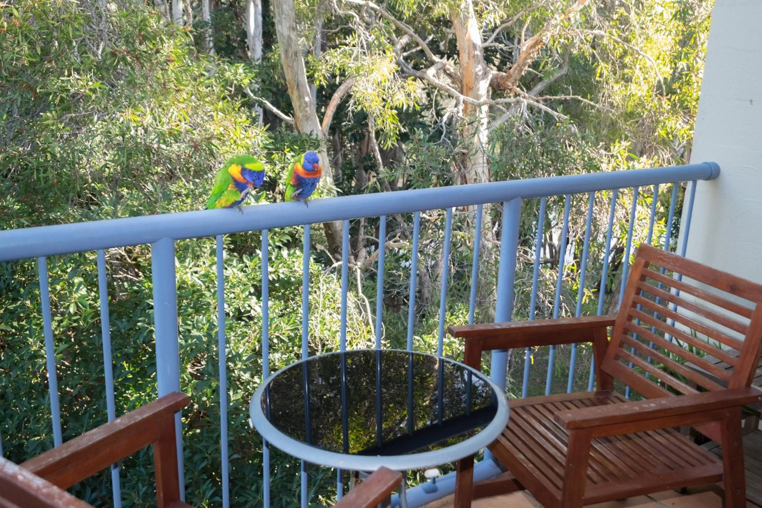 View (from property/room) in Sanctuary Lake Apartments
