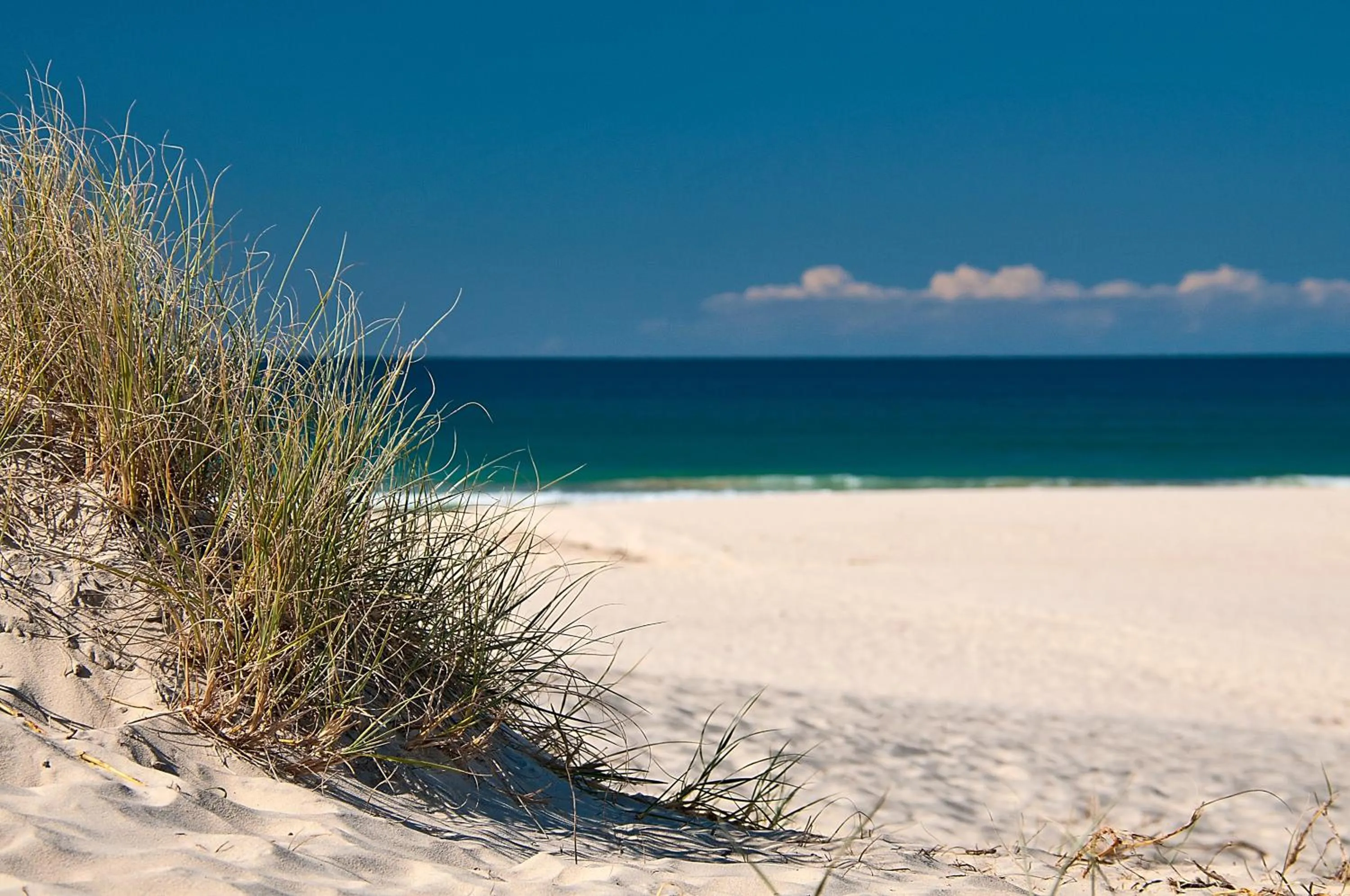 Day in Sanctuary Lake Apartments