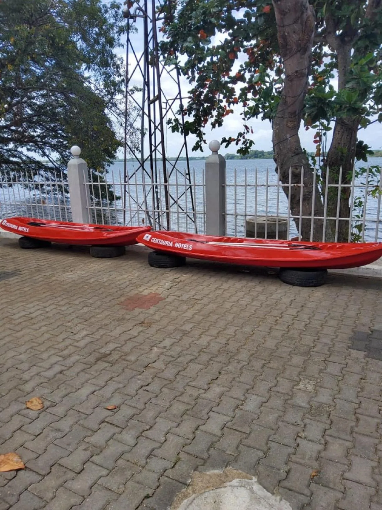 Activities in Centauria Lake Resort