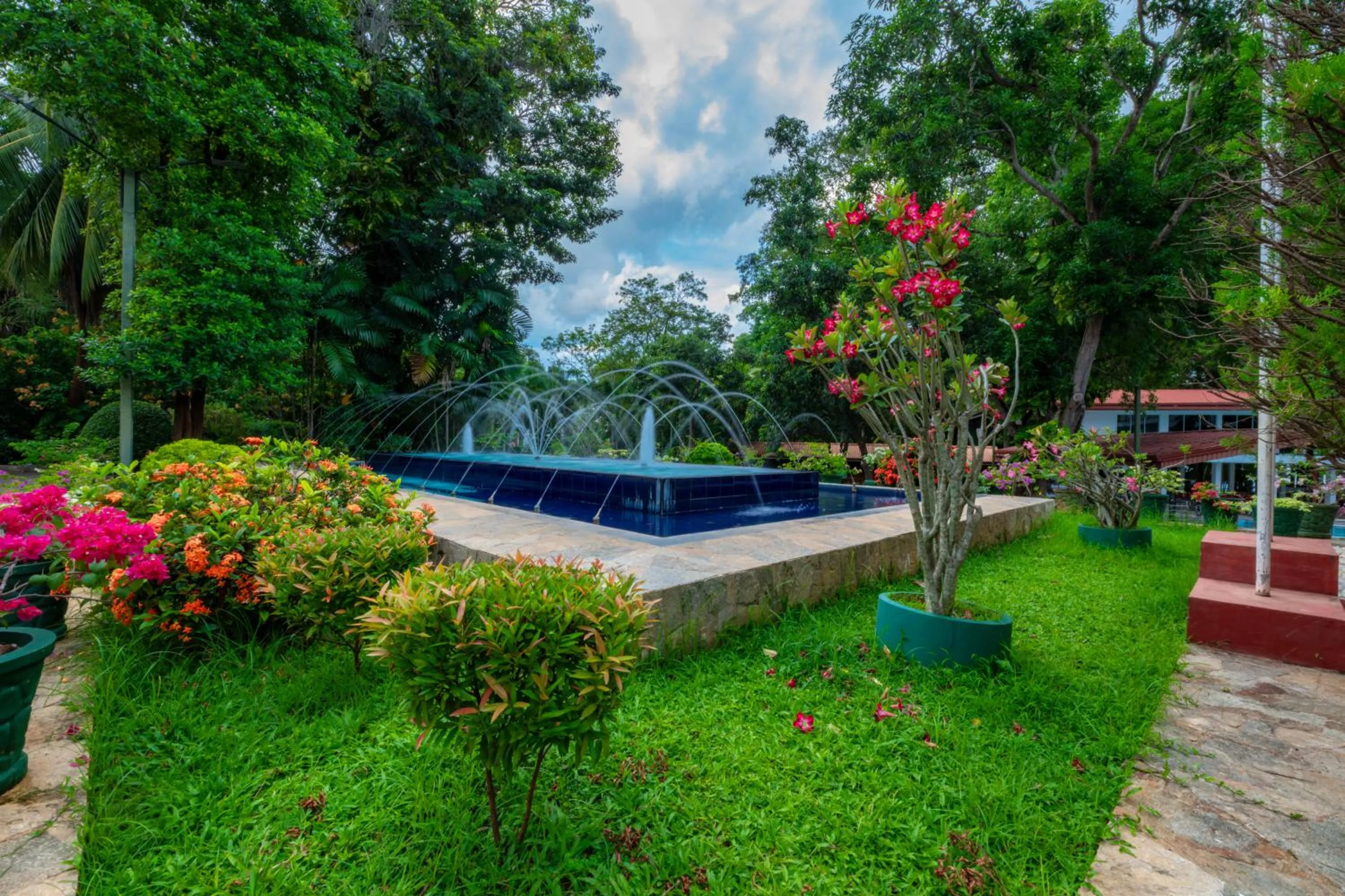 Natural landscape in Centauria Lake Resort