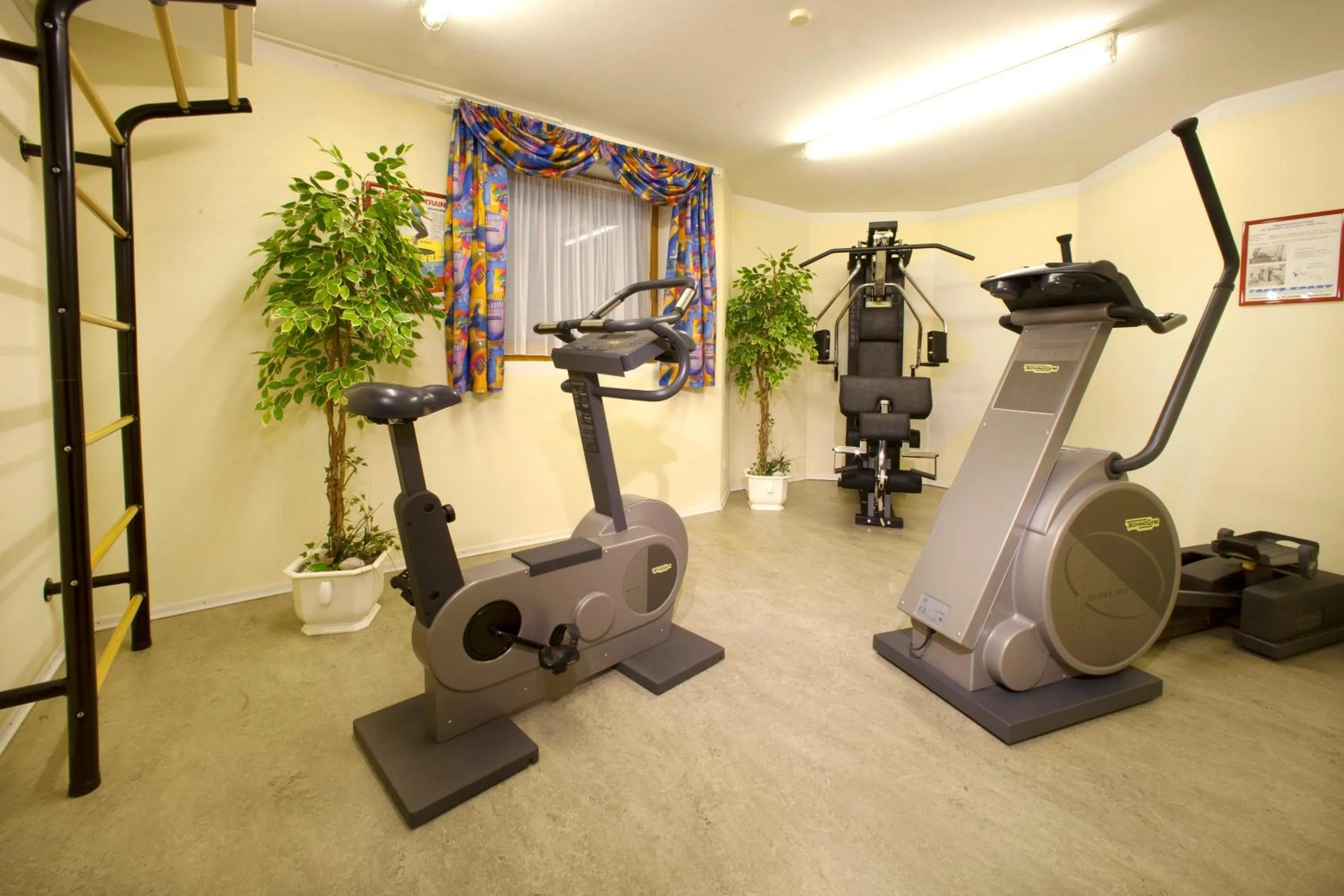 Fitness centre/facilities in Hotel Margit