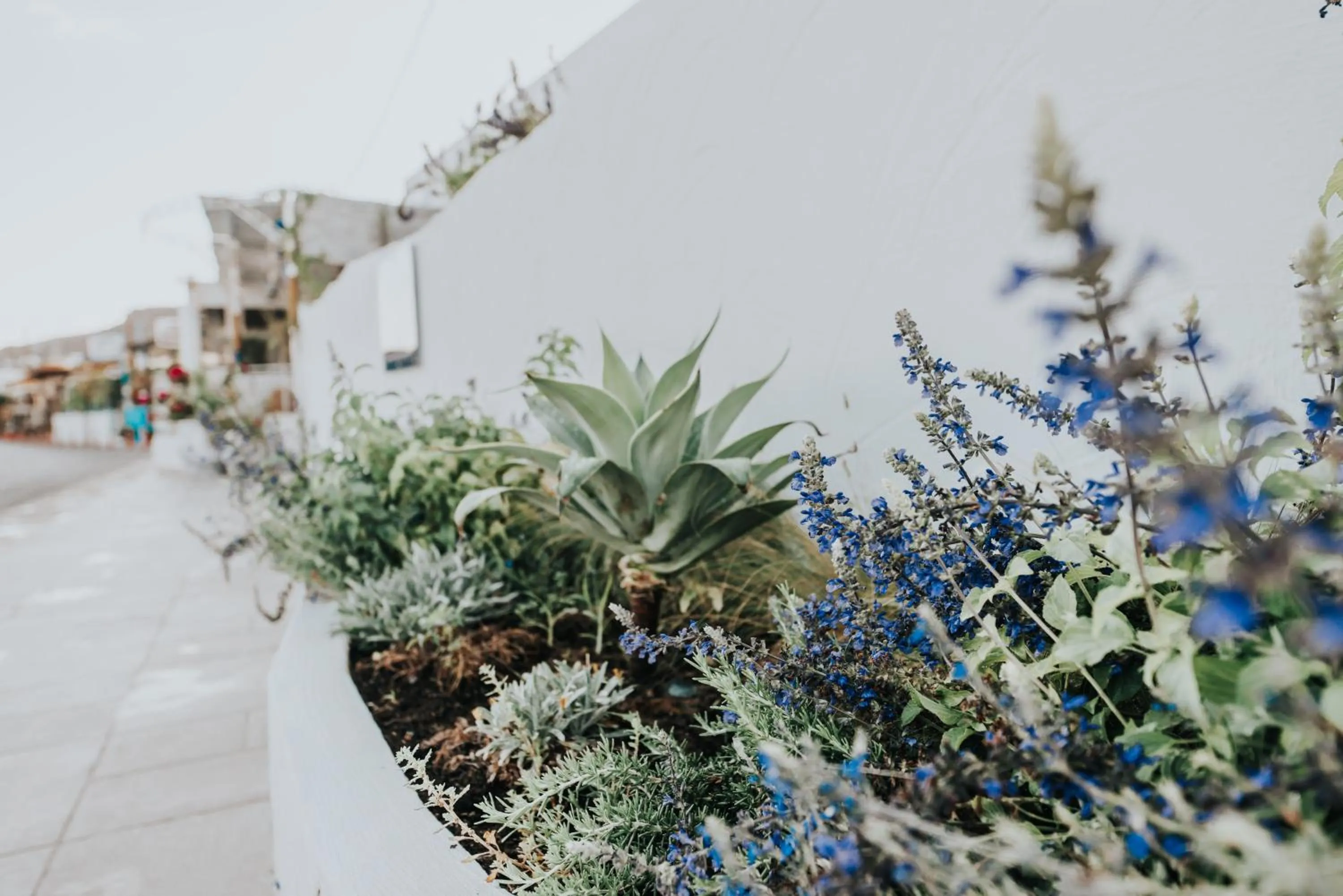 Delfini Beach Hotel & Suites