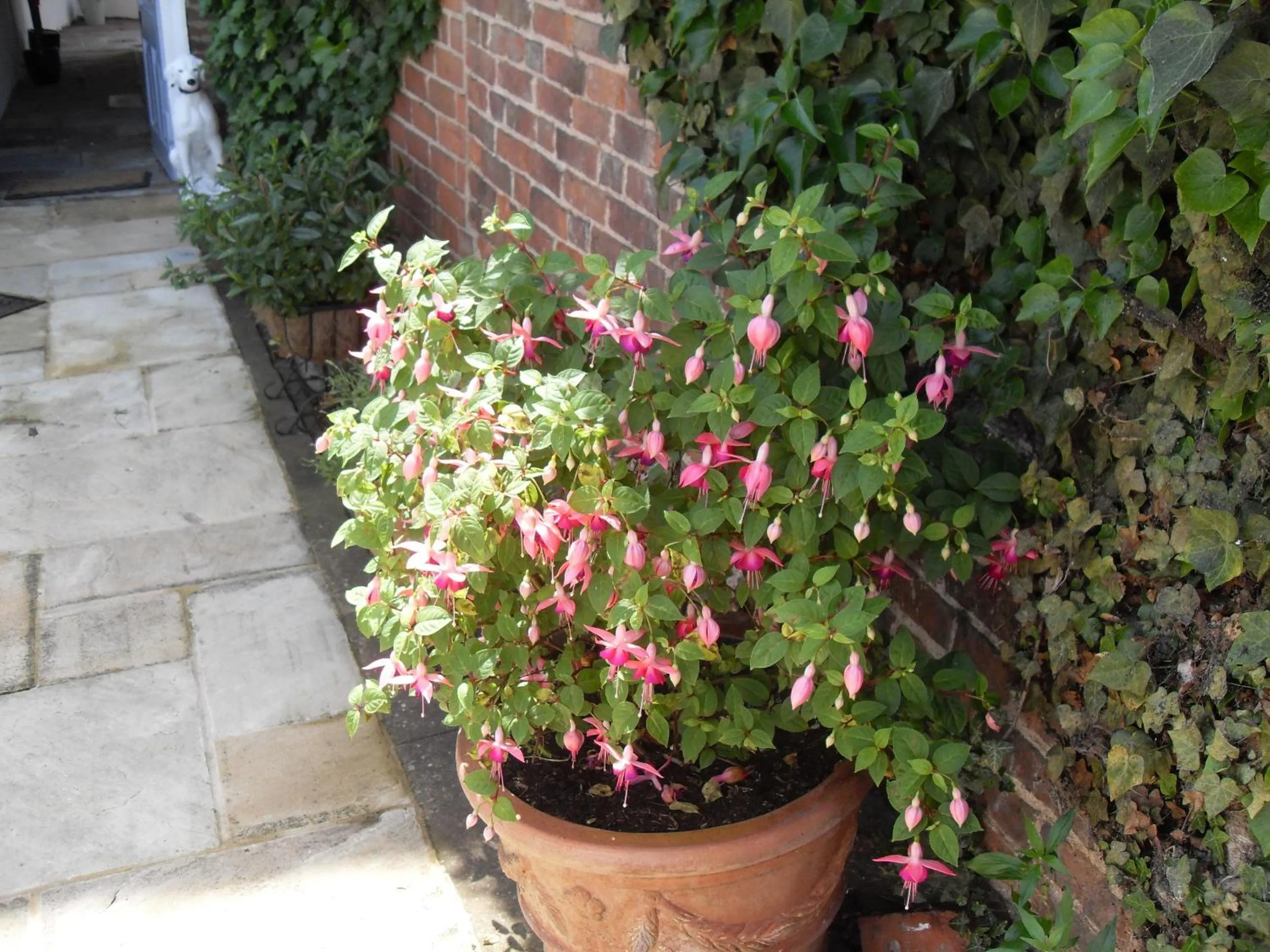 Spring in Jessop House