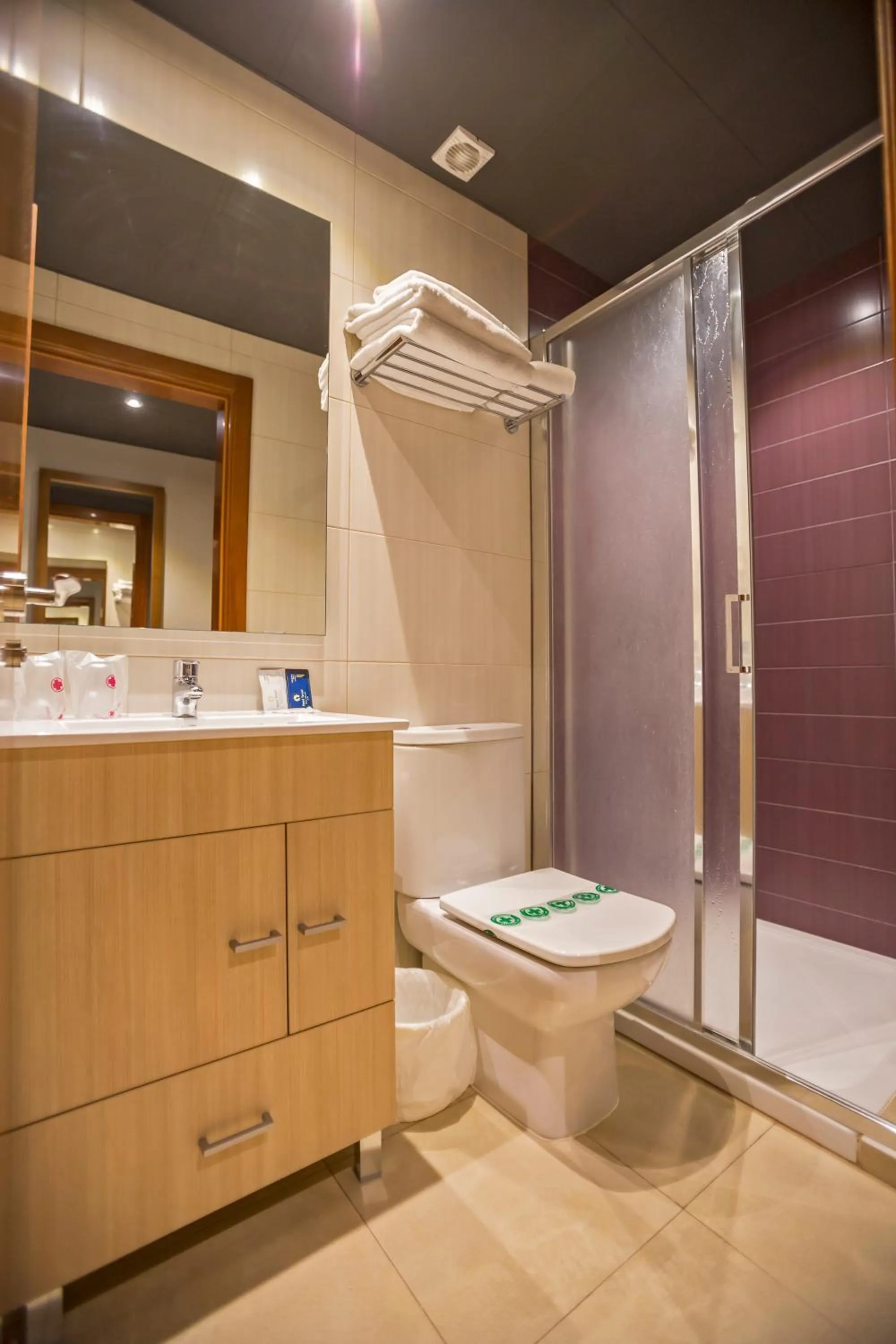 Shower in Hotel Teruel