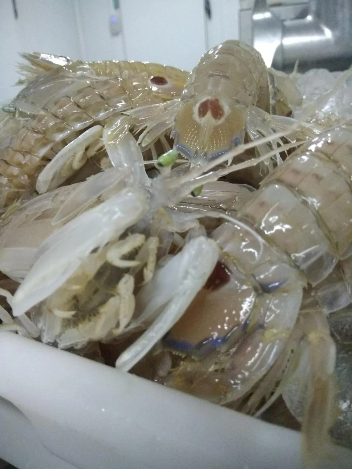 Text overlay in Hotel Teruel