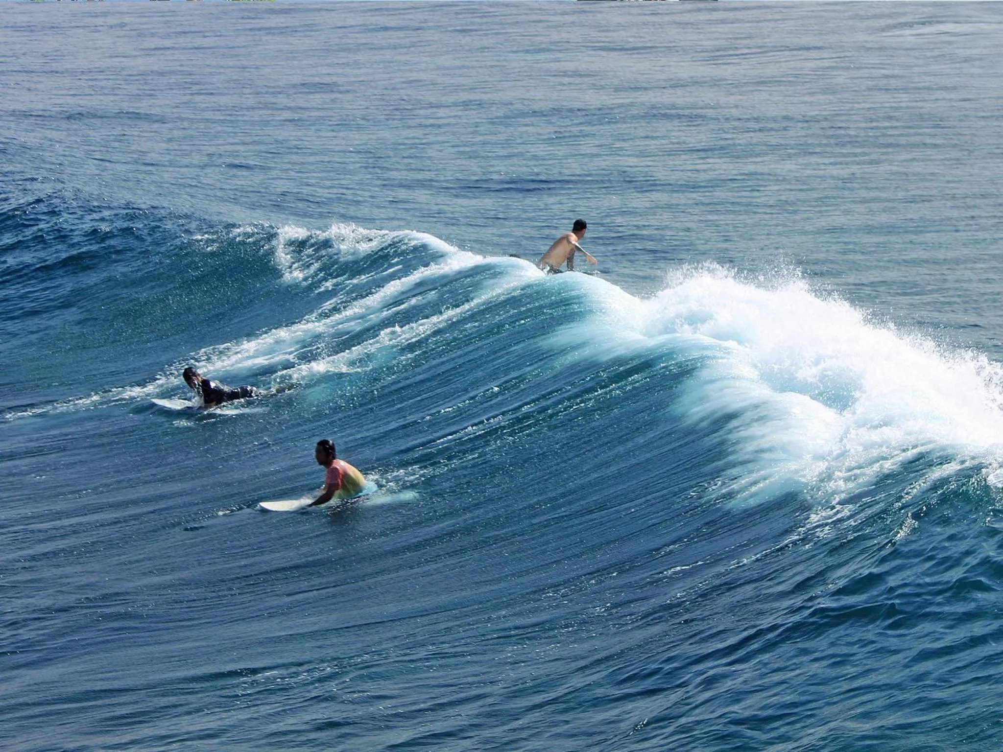 Area and facilities in Pondok Jenggala
