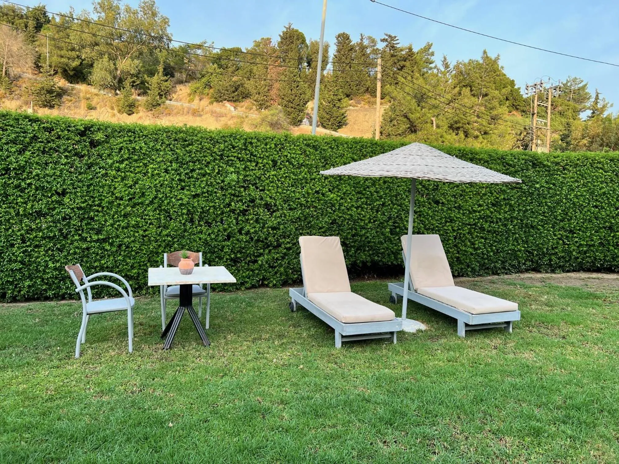 Garden in Golden days