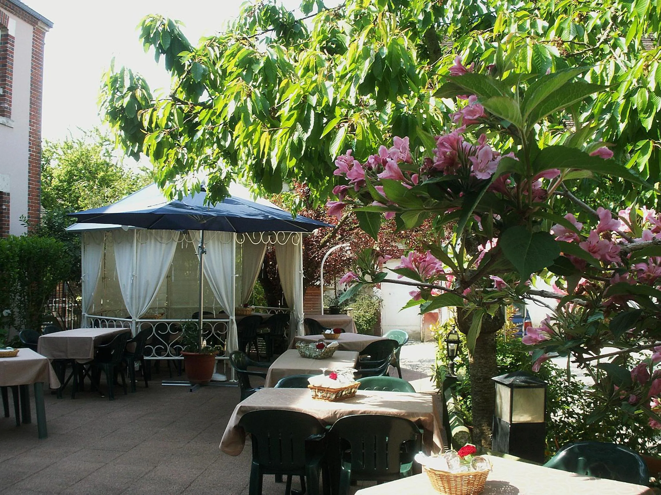 Garden in Blanche de Castille